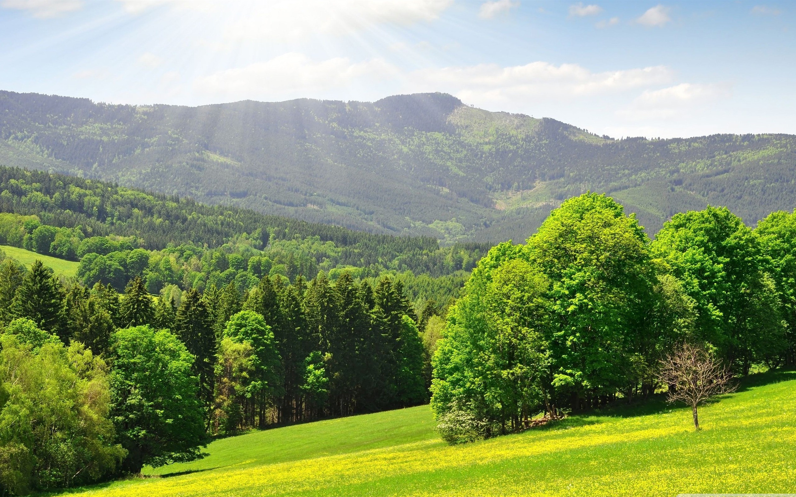 Spring Mountain Landscape Spring