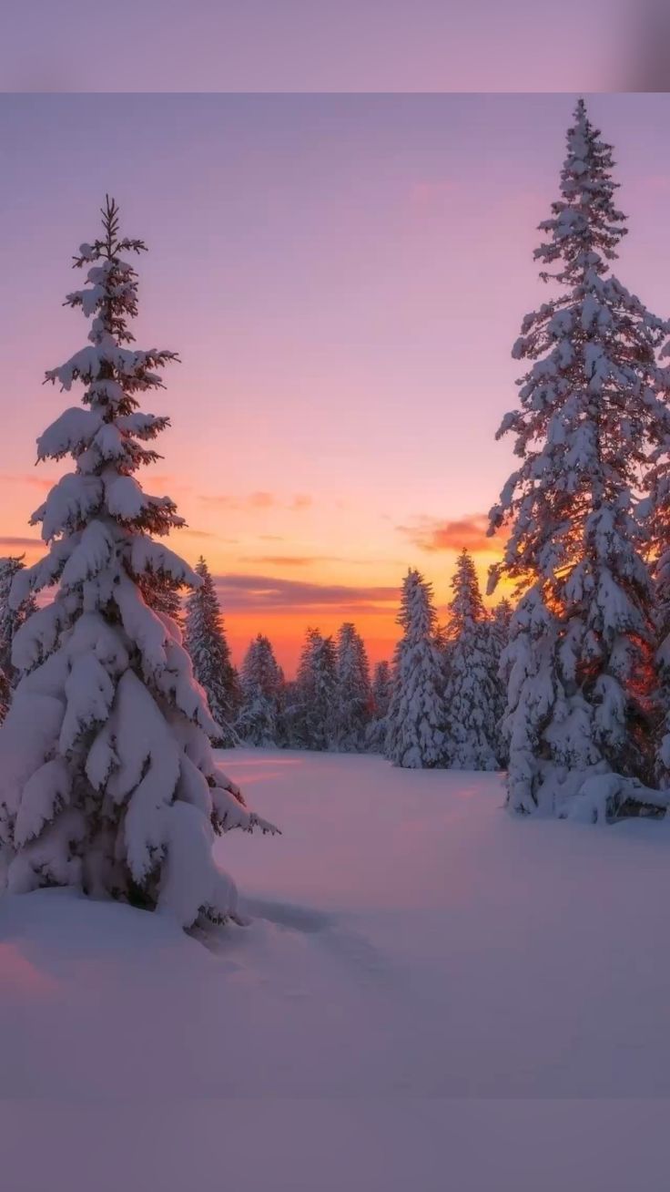 Snow Mountains December Sunset Nature