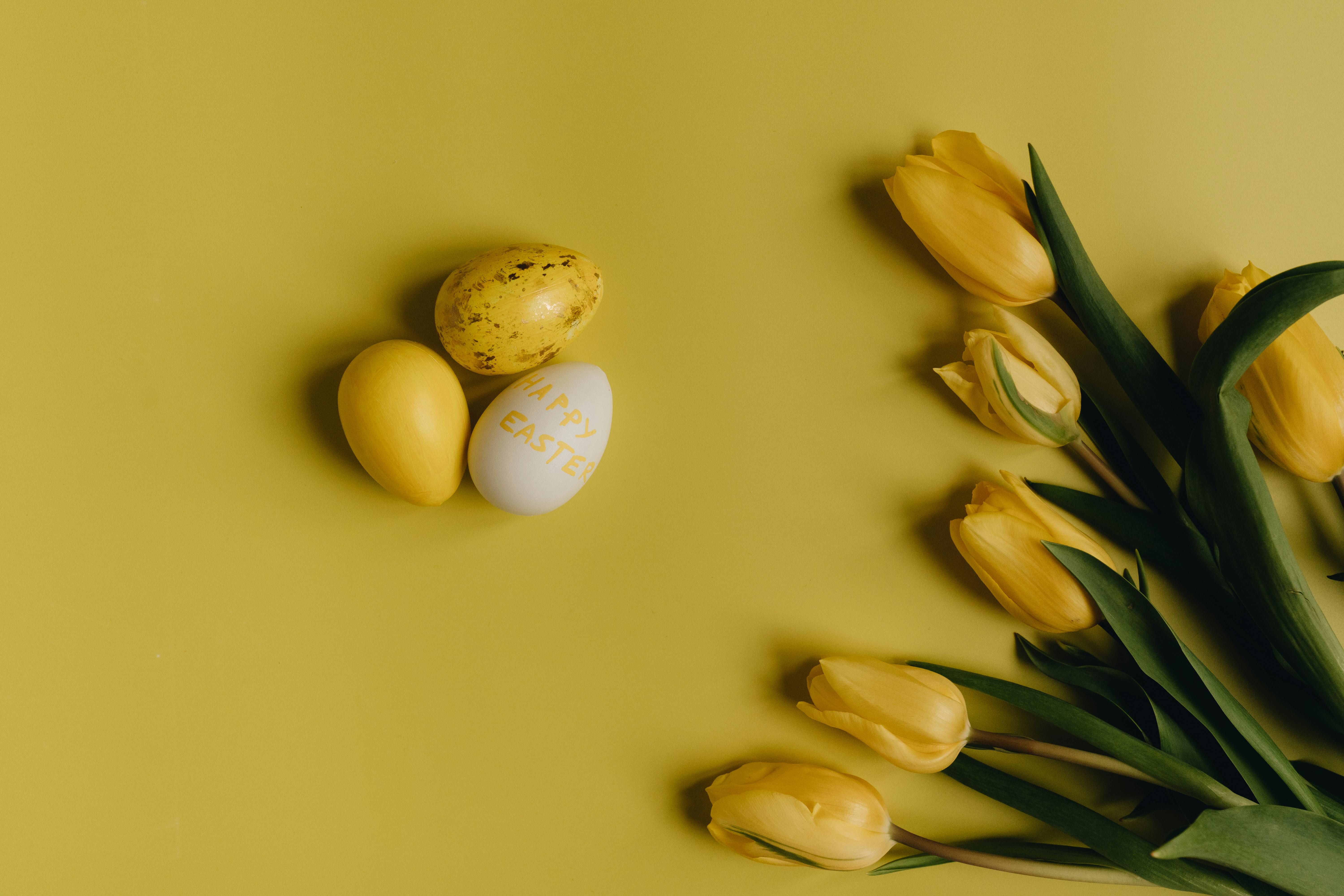 Easter Eggs beside Yellow Tulips