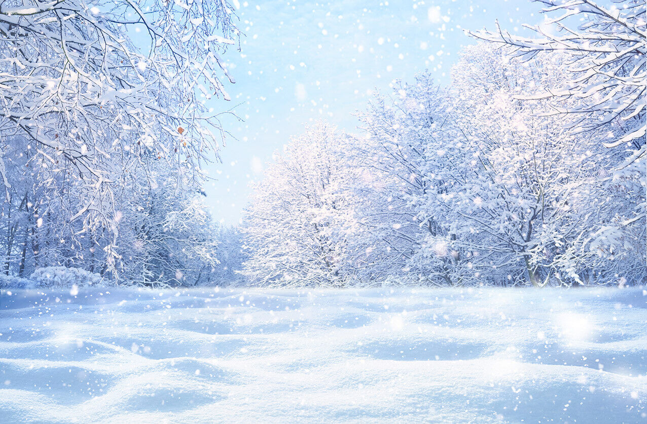 Photo Background Vinyl Backdrop