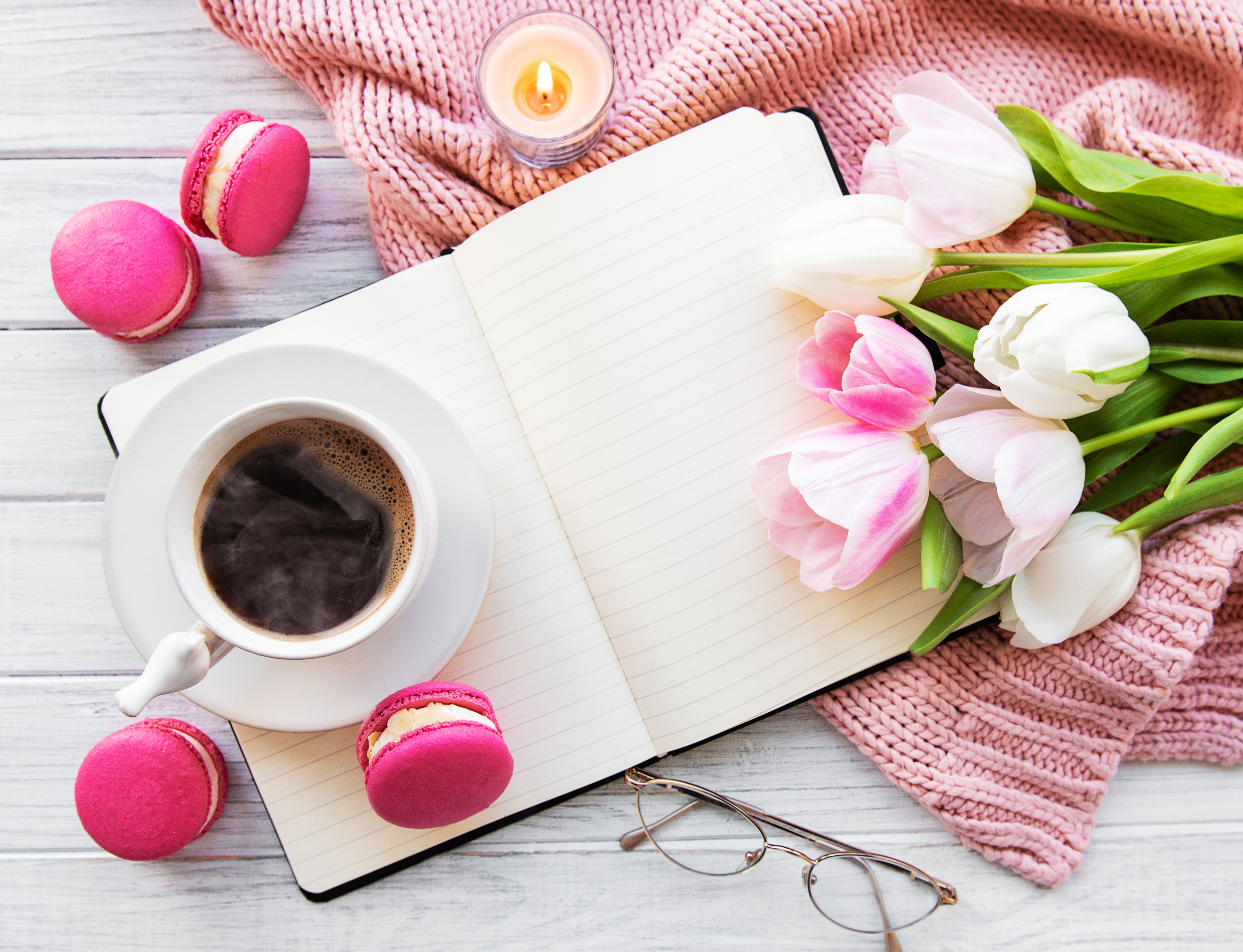 Macaron Cup Tulip Food Coffee HD Wallpaper