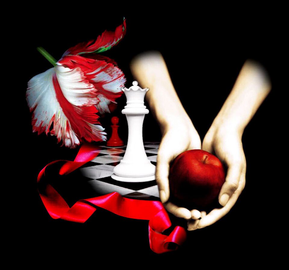 Twilight book, Twilight books cover