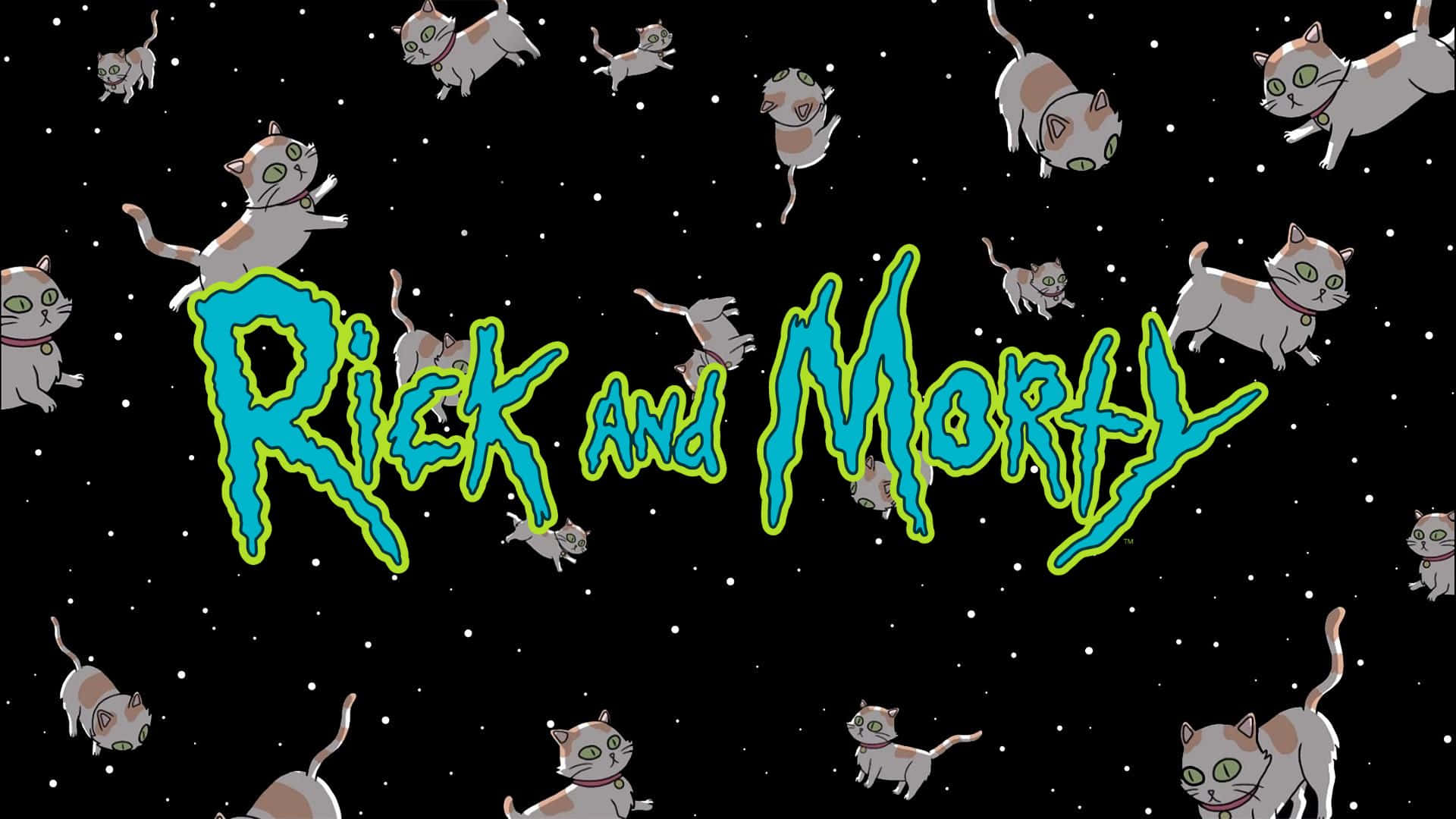 Schrodinger's Cat Wallpaper