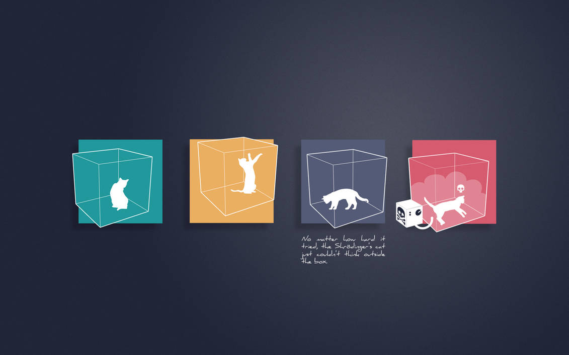 Cat By Digitalwolf Pl