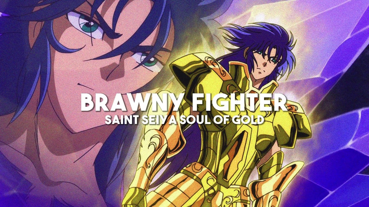 Brawny Fighter Seiya: Soul