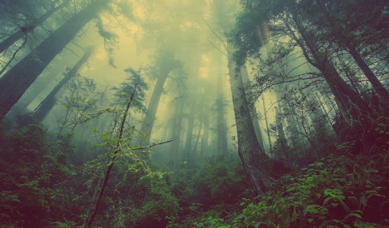 Wallpaper Engine's Best Landscape