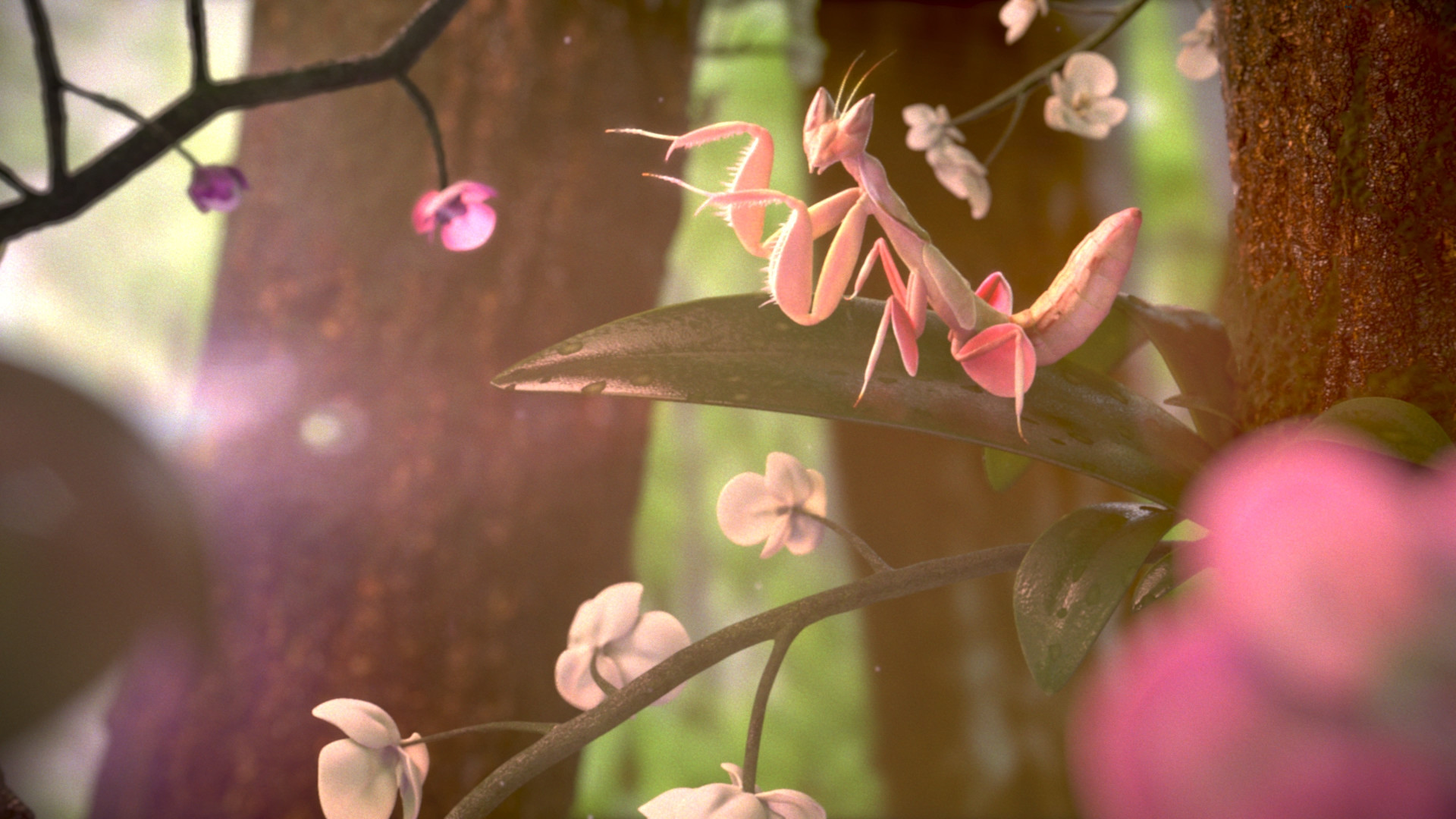 Environment Orchid Mantis