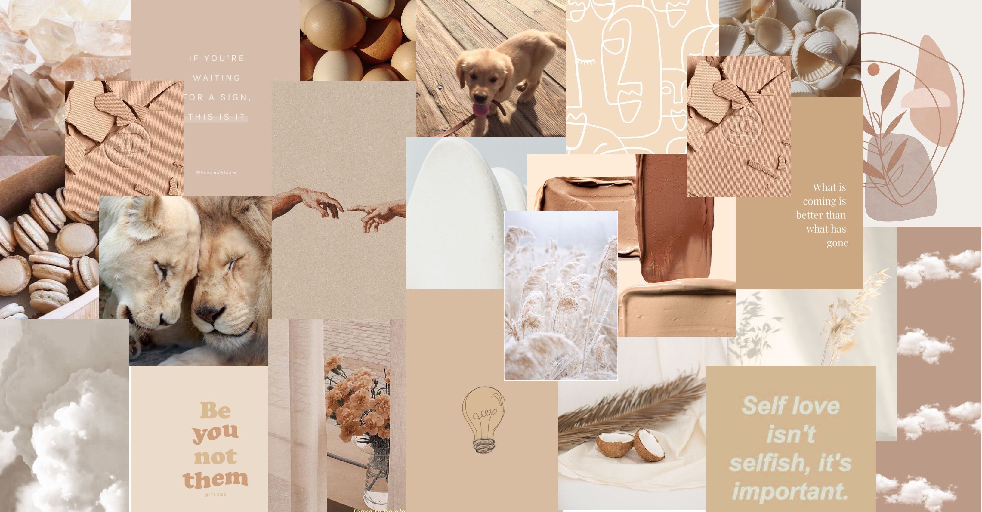 Beige Aesthetic Collage Laptop