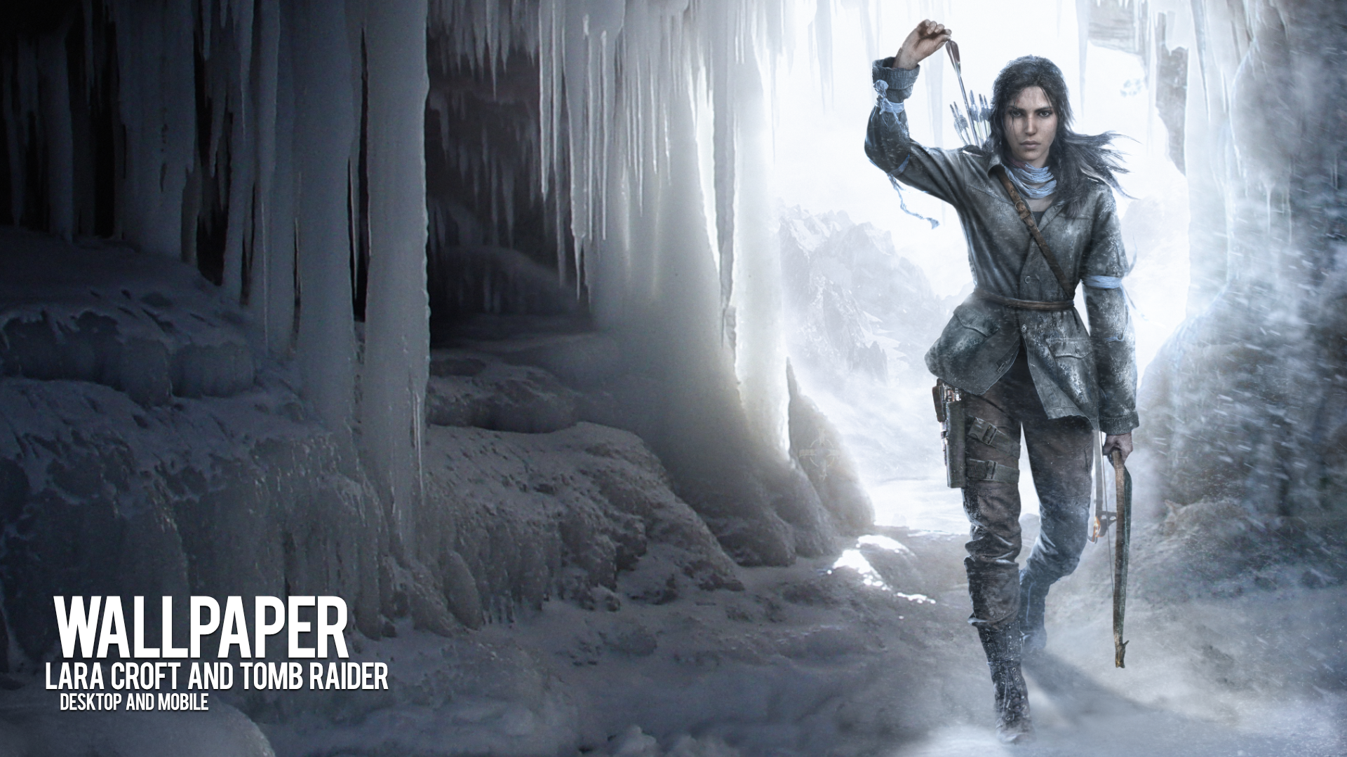 Lara Croft and Tomb Raider series