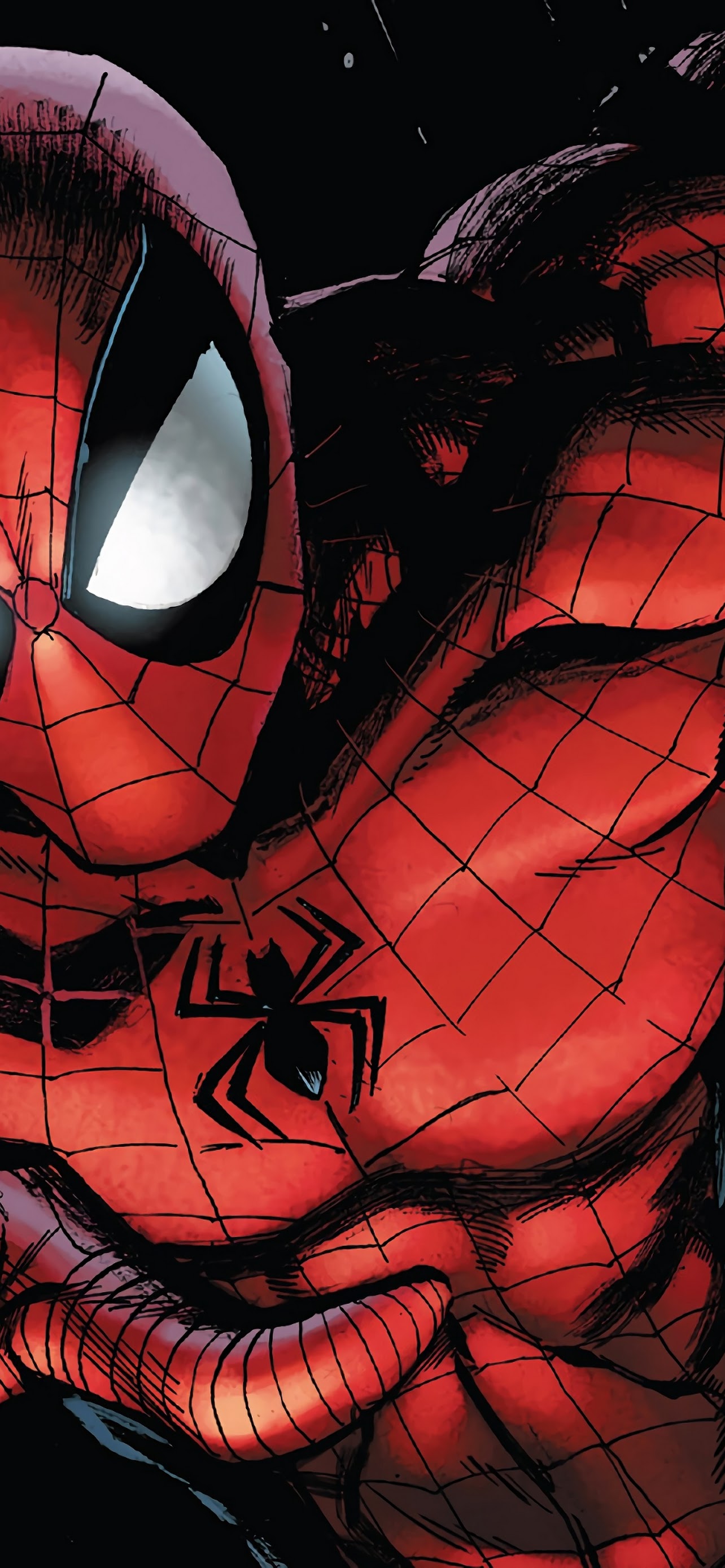 Spider Man 4K Wallpaper