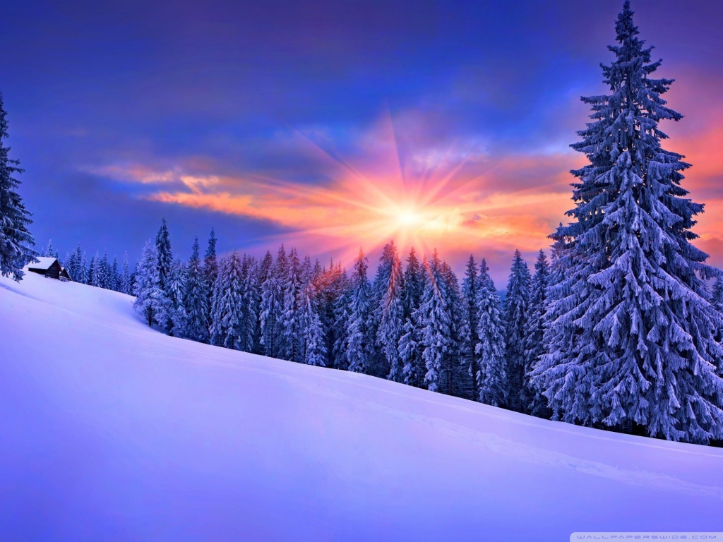 Winter, Nature Ultra HD Desktop