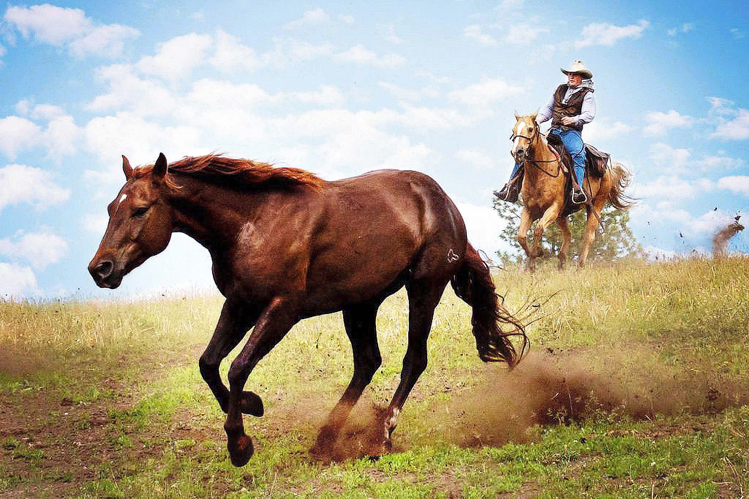 Bull Hill Guest Ranch