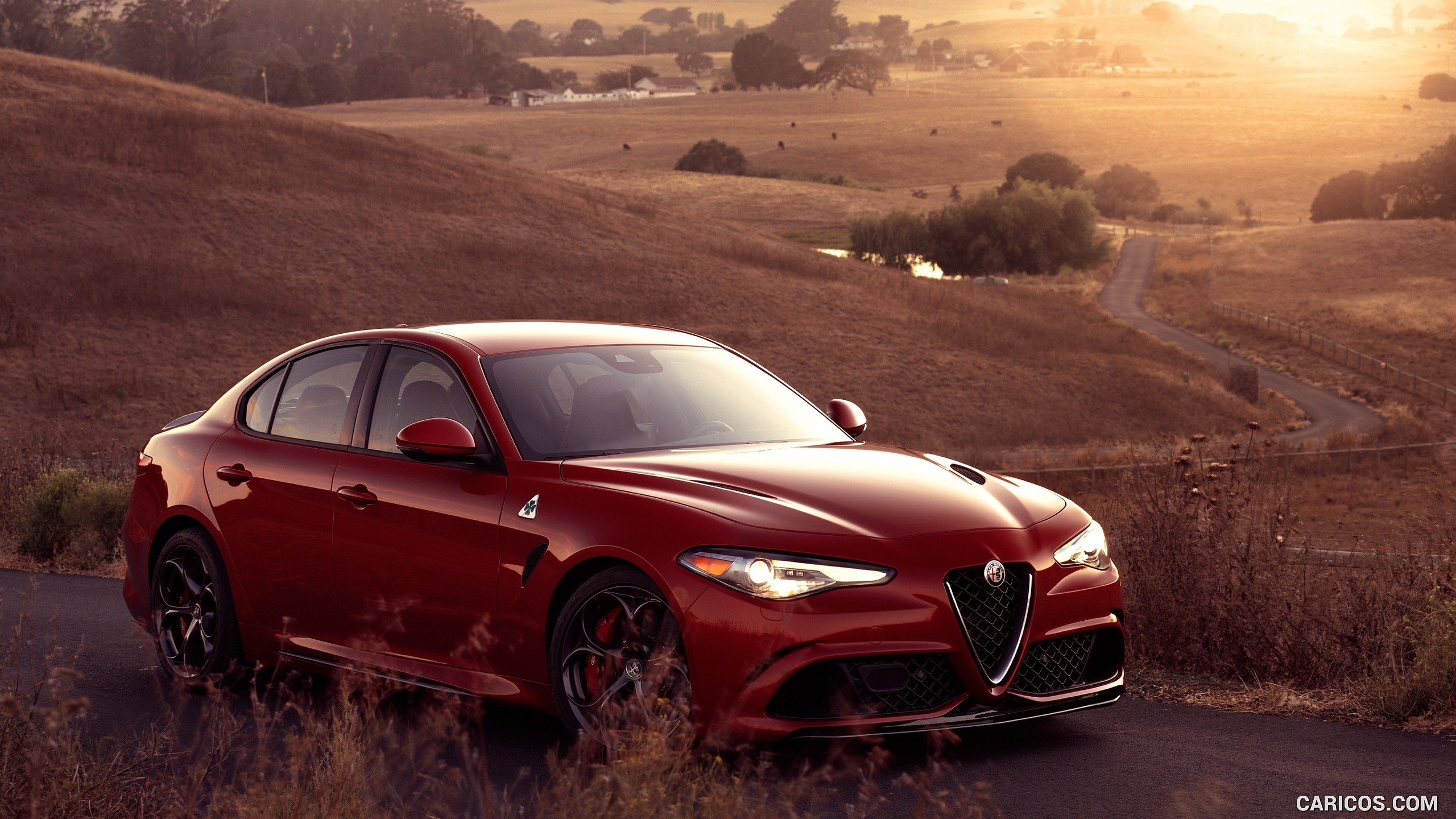 Alfa Romeo HD Wallpaper, HD Cars