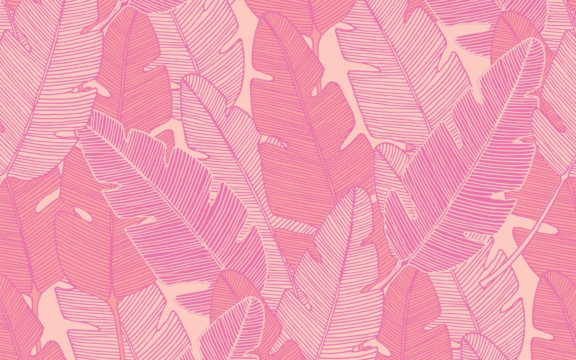 Pink Laptop Wallpaper