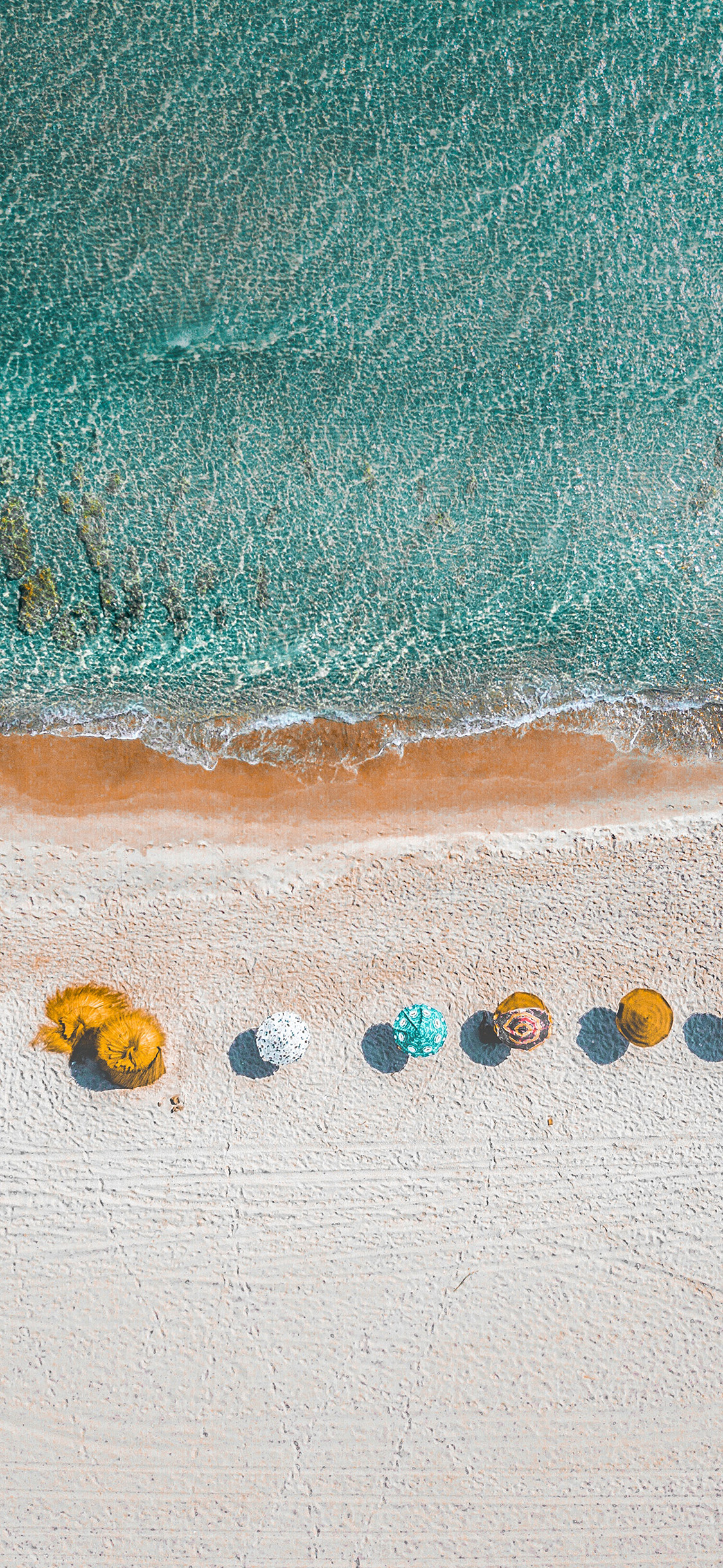 Nature Vacation Beach Sea Summer