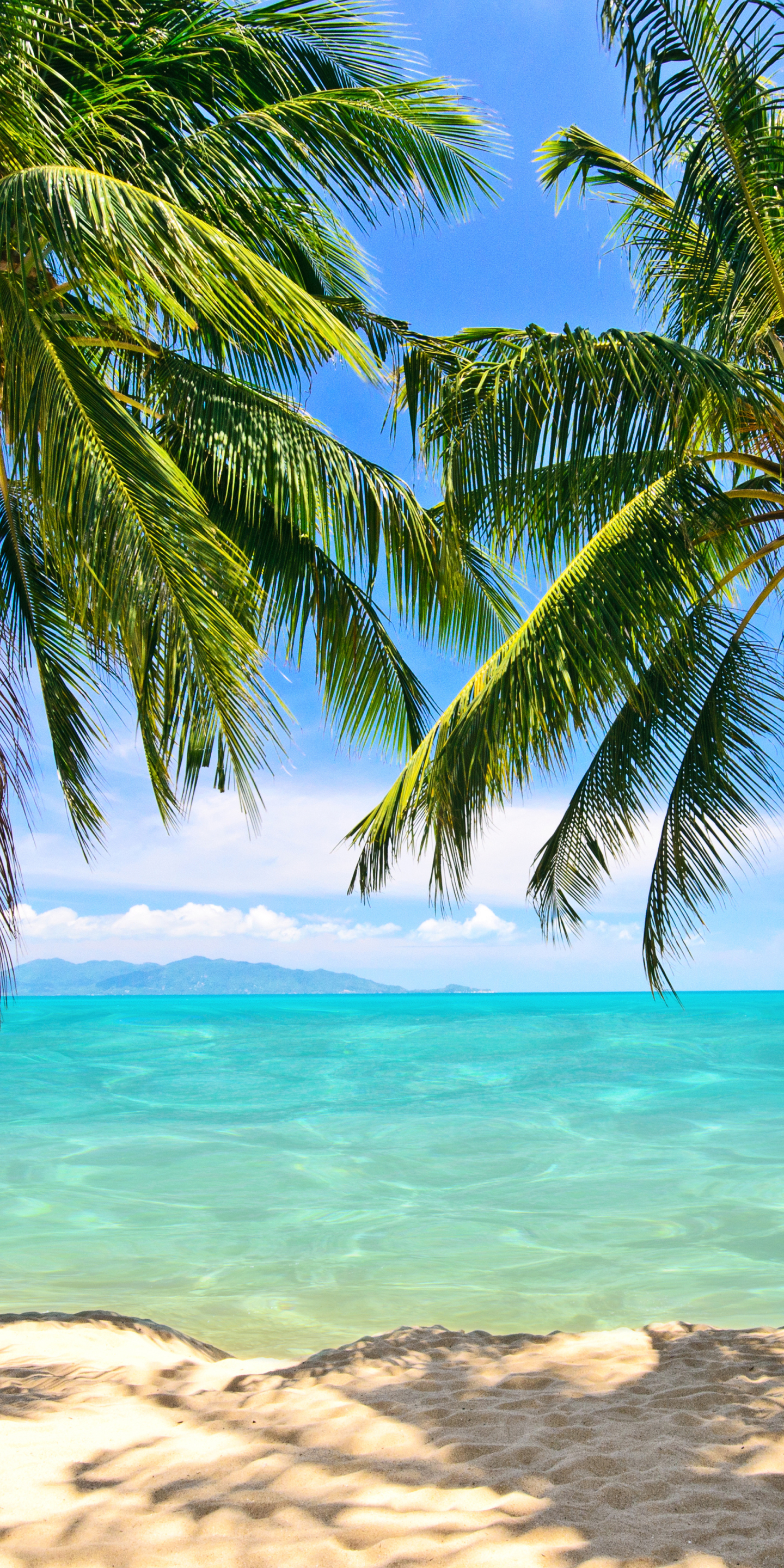 Beach Phone Wallpaper