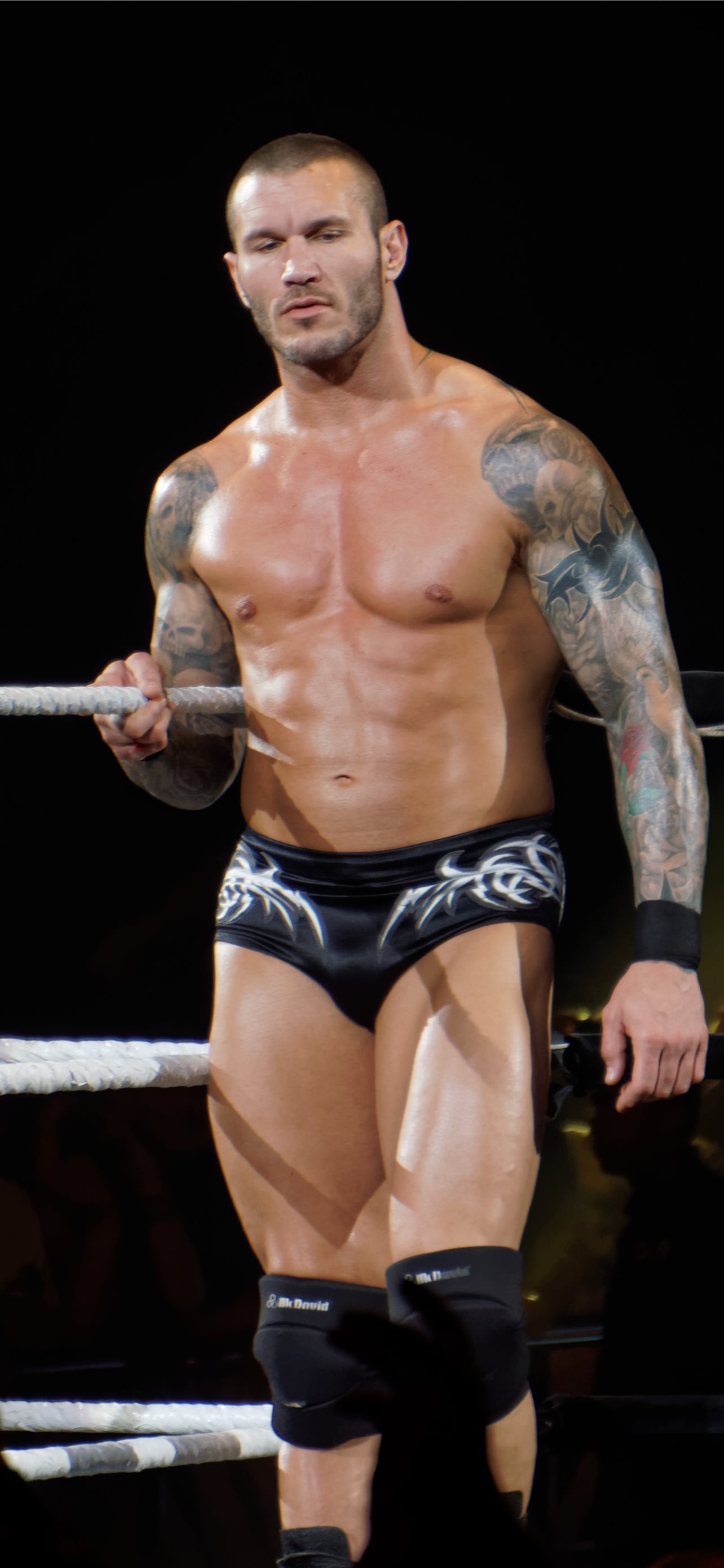 Randy Orton Legend Killer posted