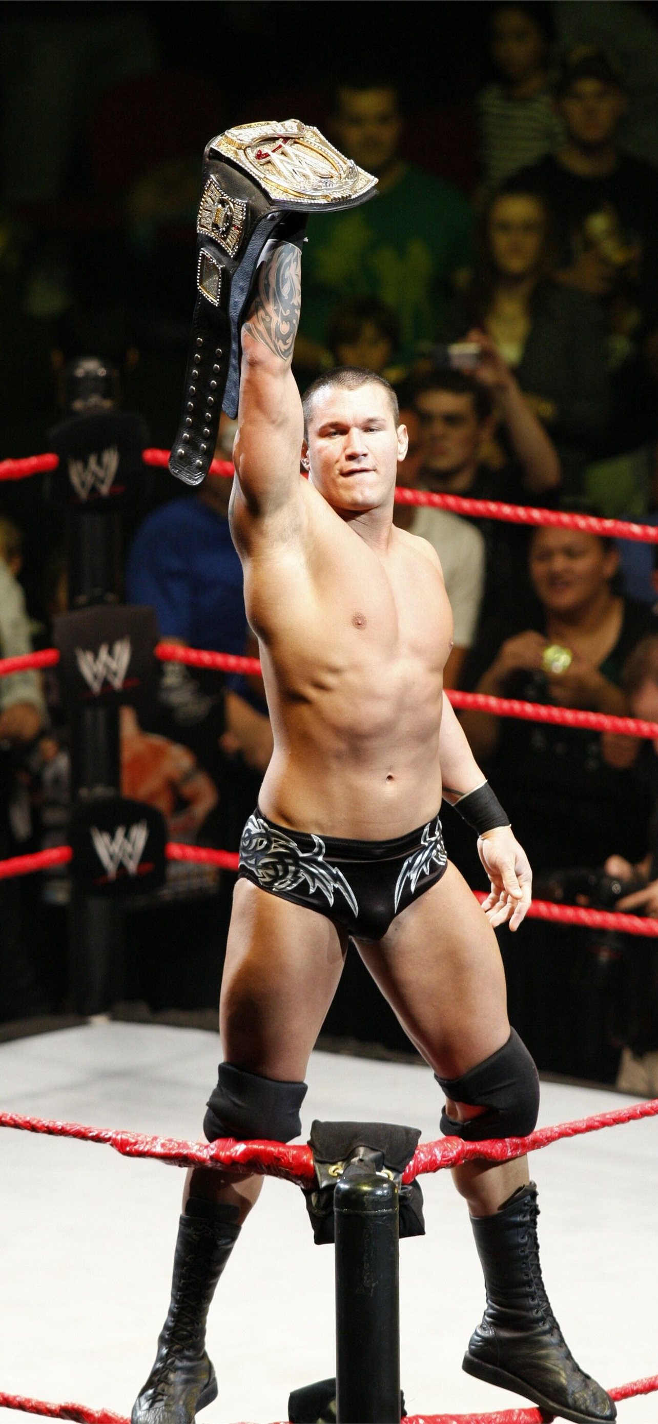 Best Randy orton iPhone HD Wallpaper