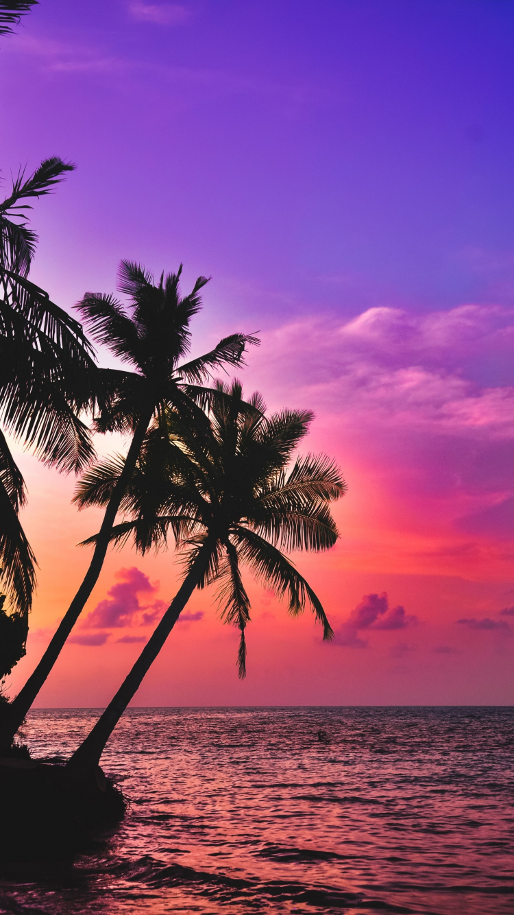 Download wallpaper 750x1334 tropical