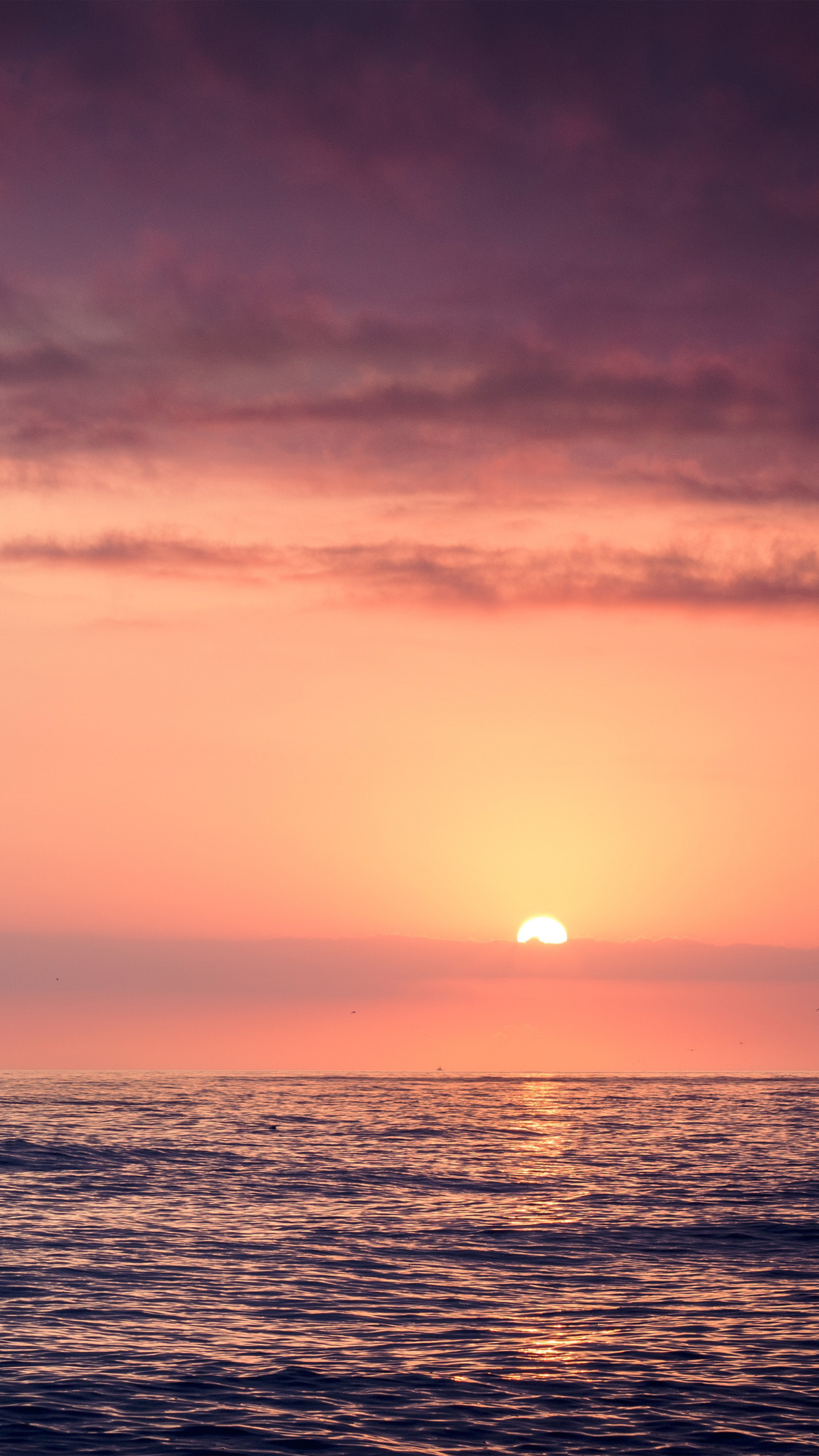 wallpaper. sunset sea beach sky shine