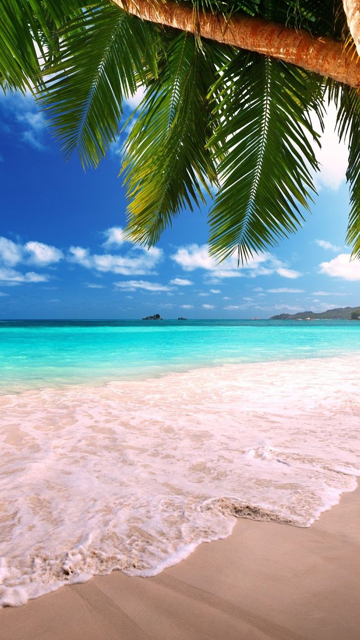 Обои wallpaper iPhone. Beautiful