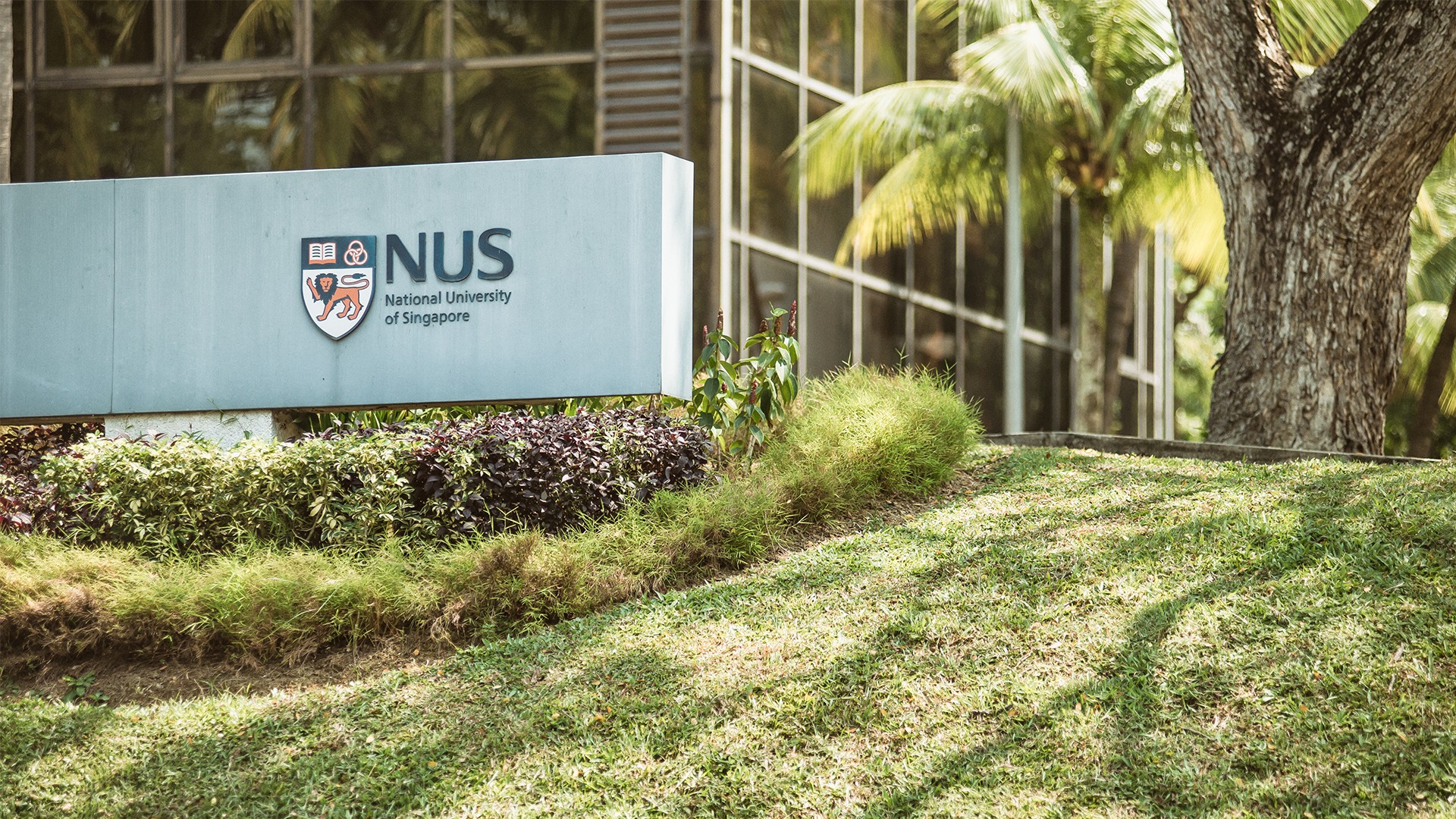 NUS ranked globally in 16 subjects