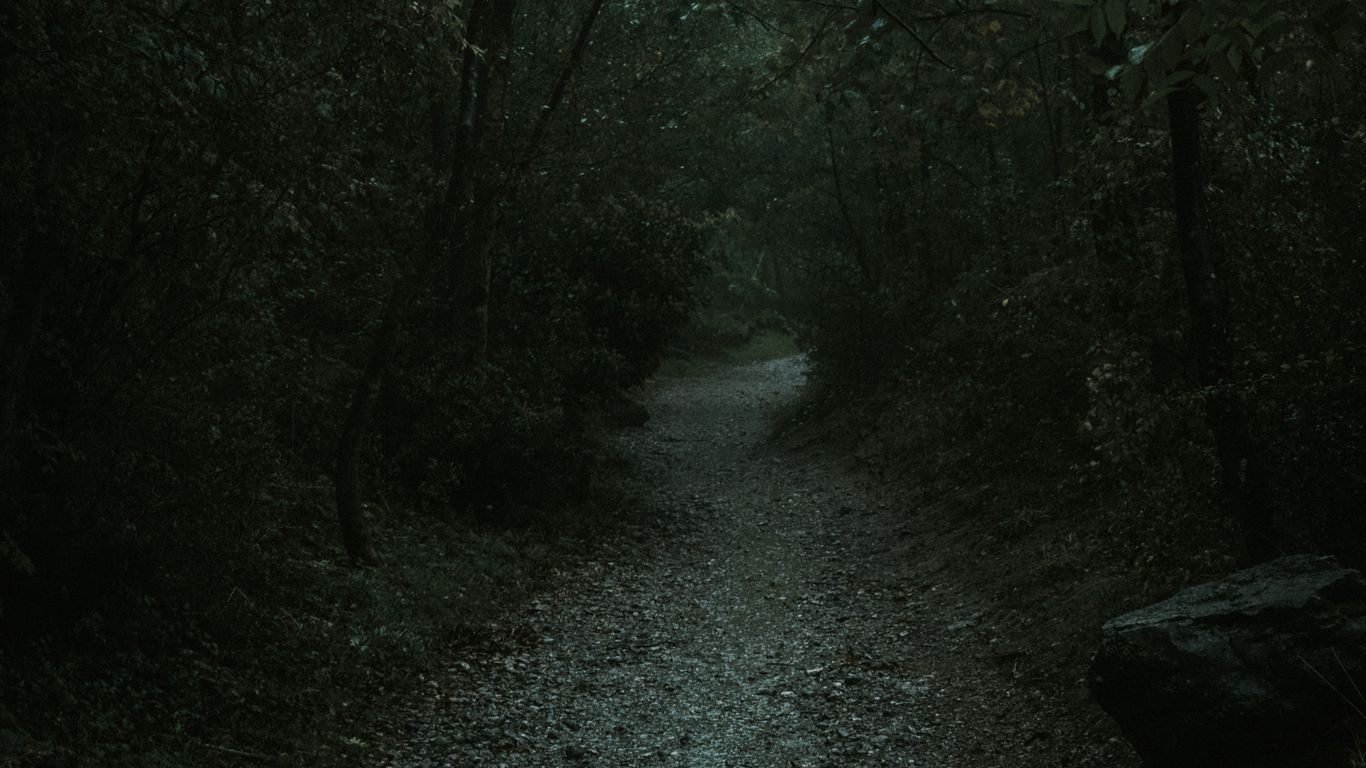 wallpaper 1366x768 forest, path