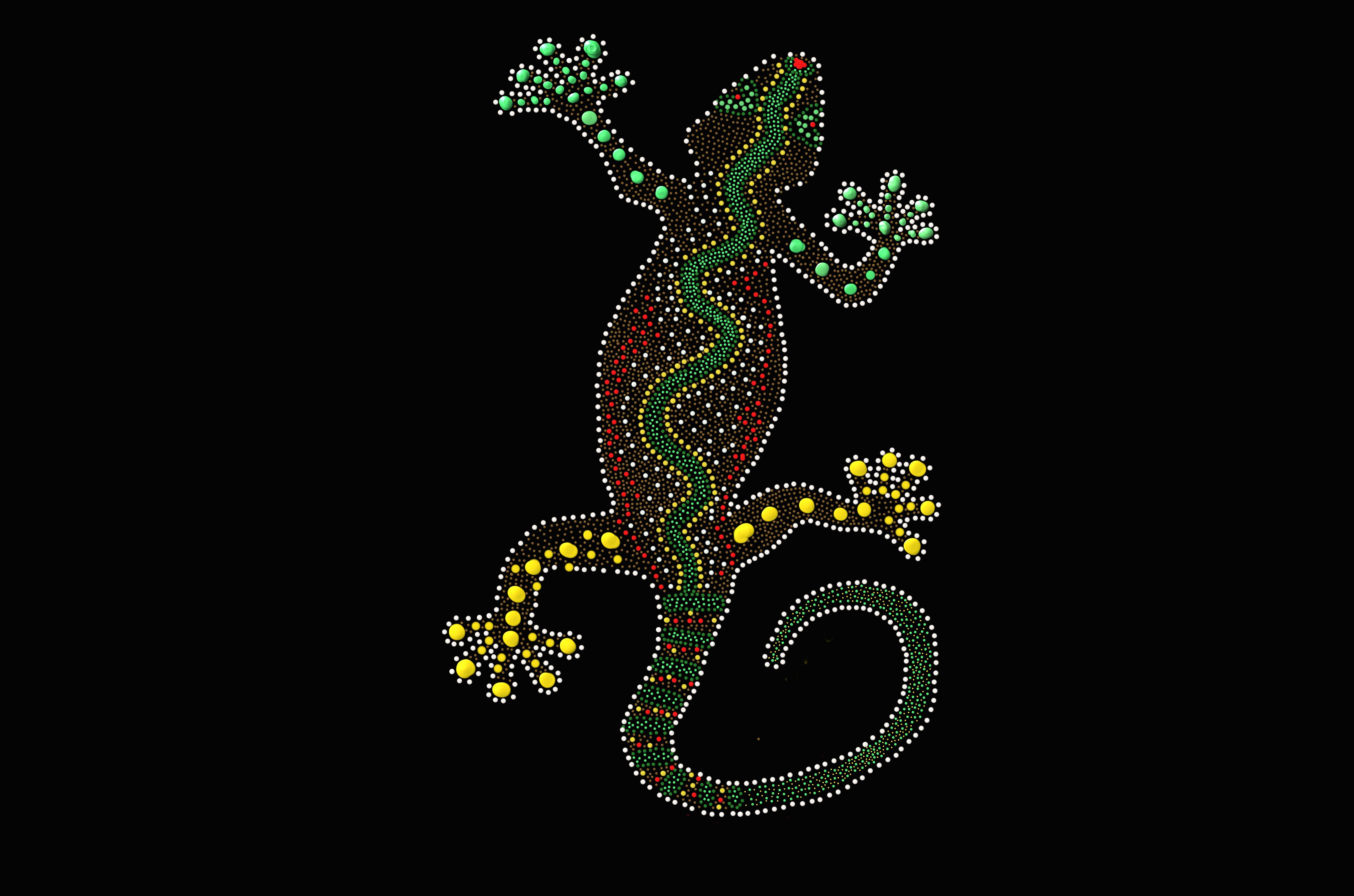 Lizard wallpaper for desktop, download