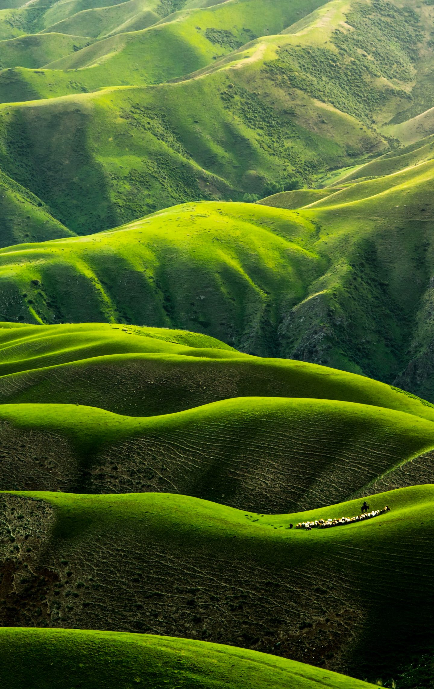 Green Landscape Hills 4K Wallpaper