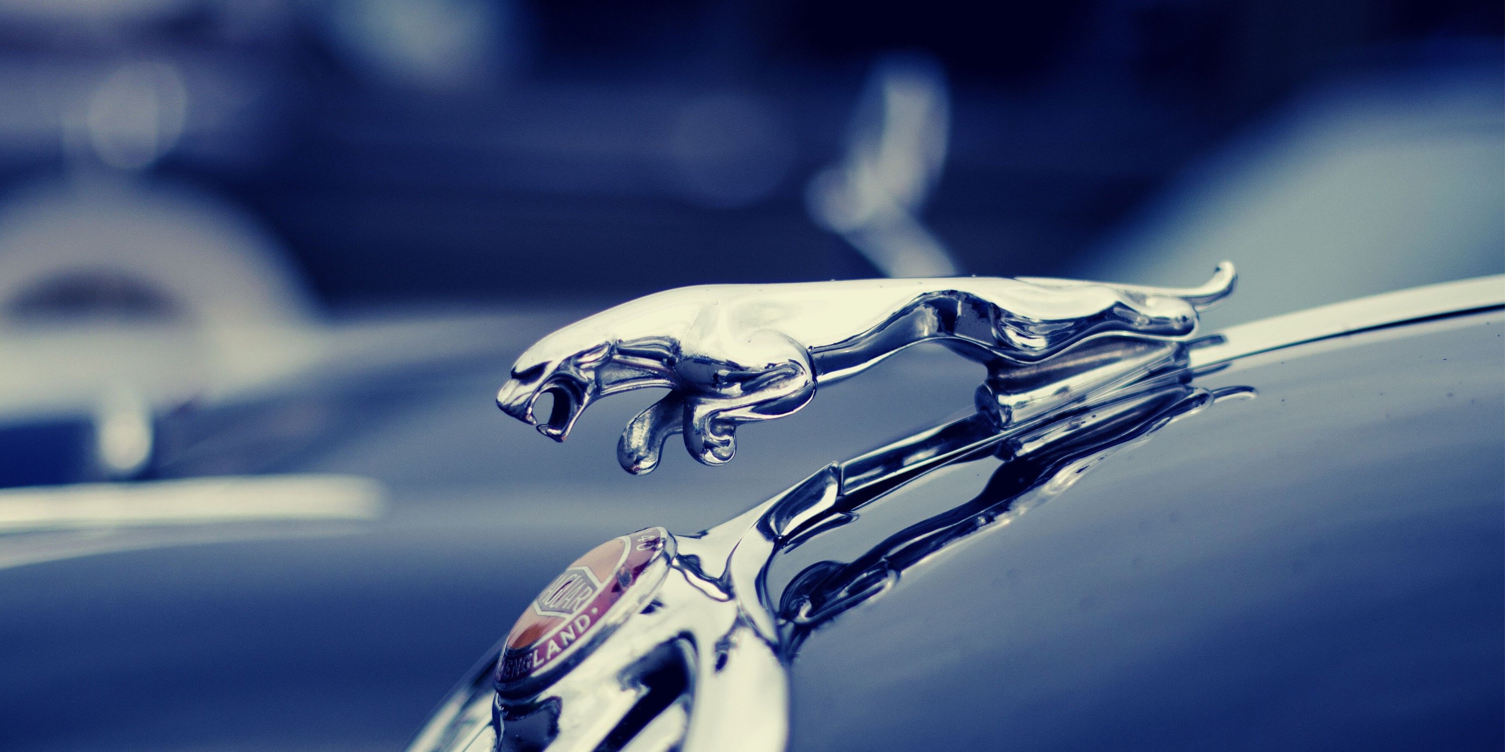 Jaguar Logo Old School