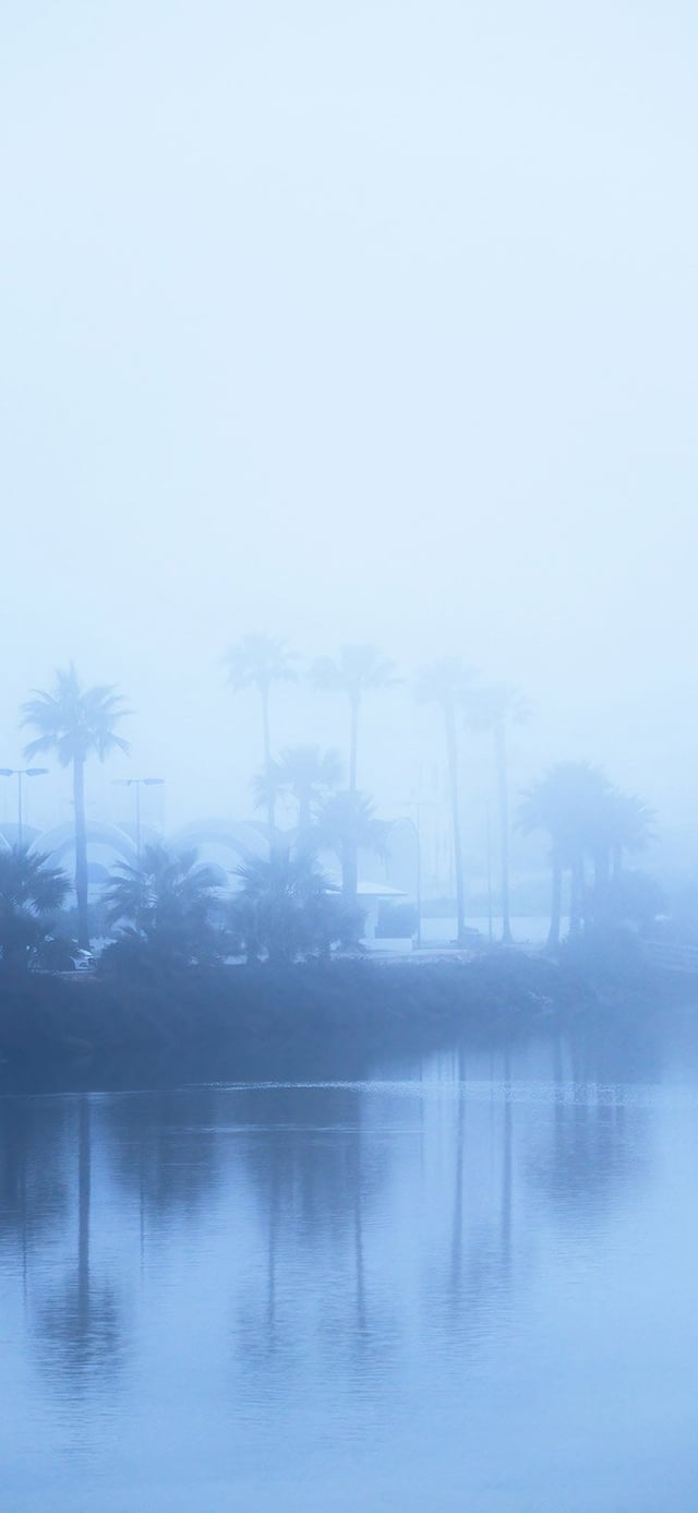 Blue Lake Surrounded By Simple Trees 4K