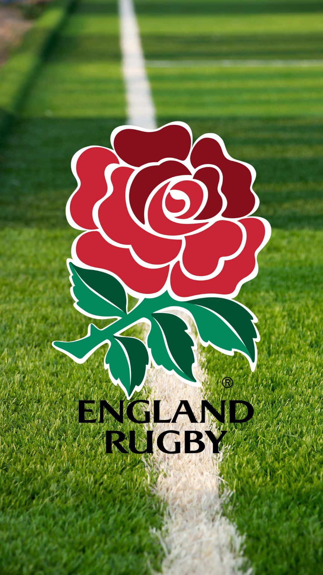 Download England Rugby Wallpaper