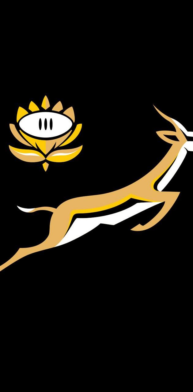 Afrcica Rugby wallpaper
