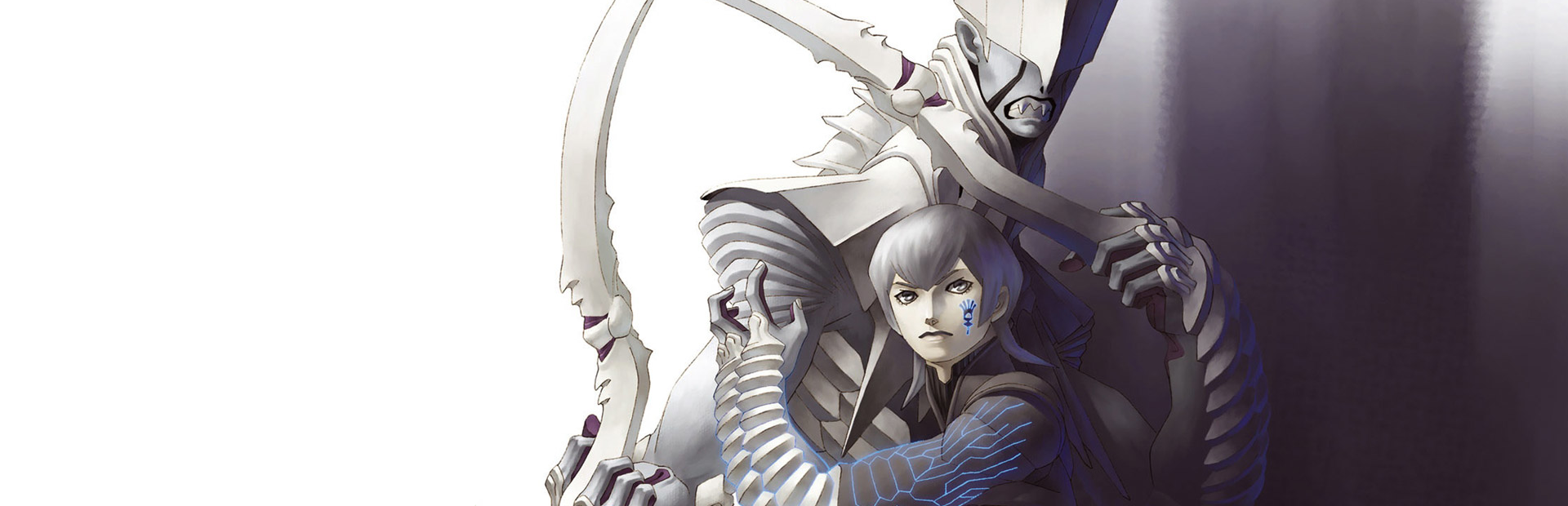 Shin Megami Tensei: Digital Devil Saga