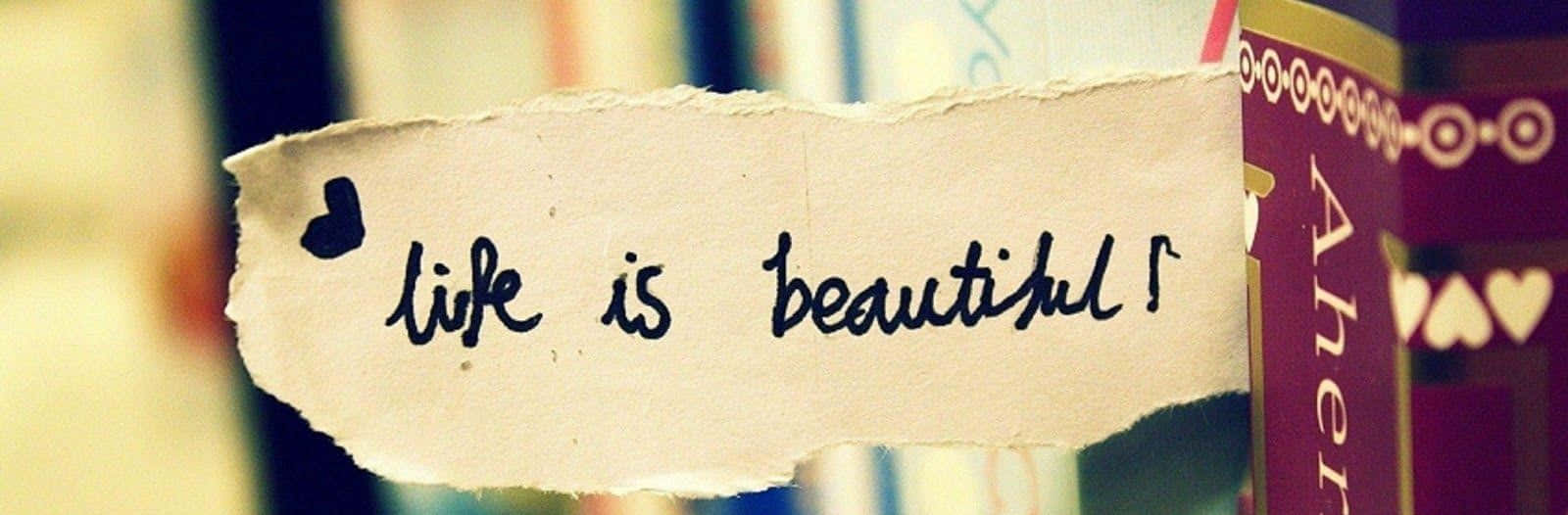 Facebook Cover Picture