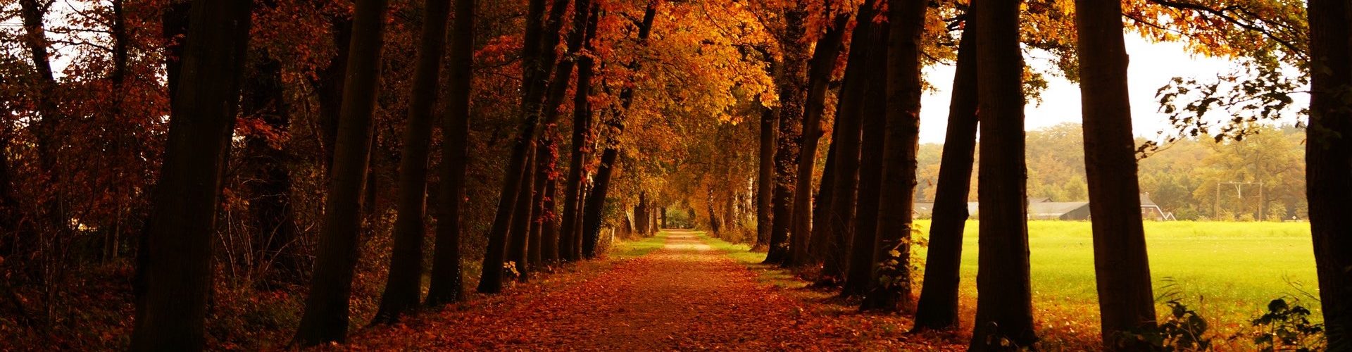 Facebook Banner Wallpapers - Wallpaper Cave, image size:1920x500