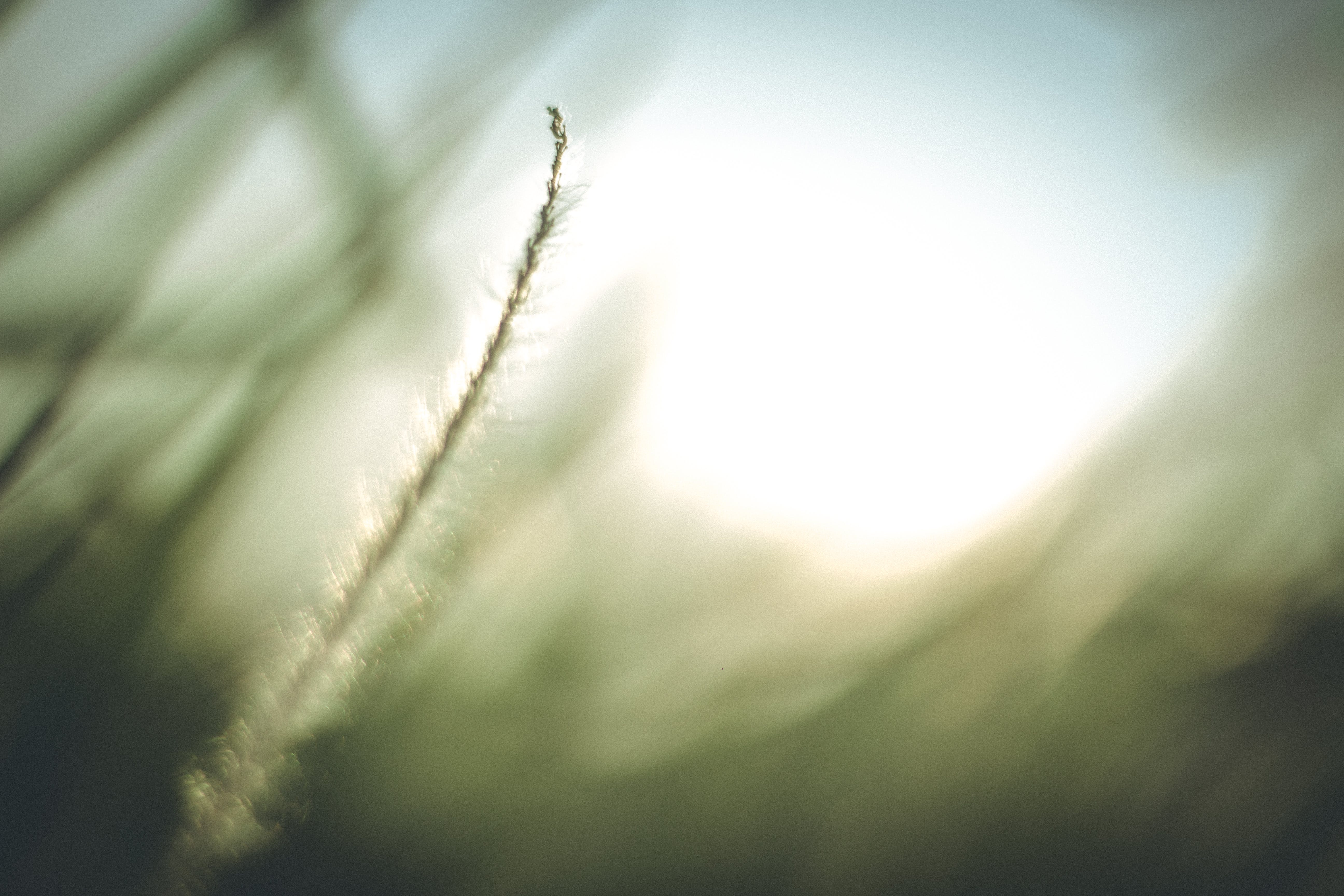 Facebook Covers 98 Photo & Videos