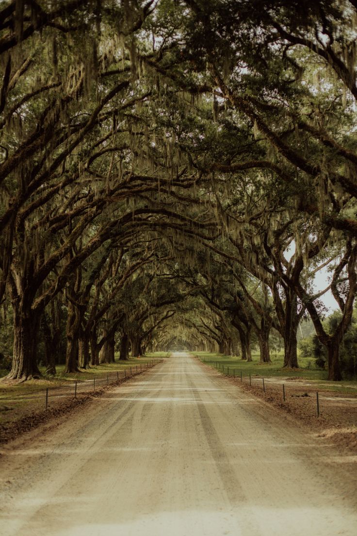 iPhone Wallpaper. Savannah GA