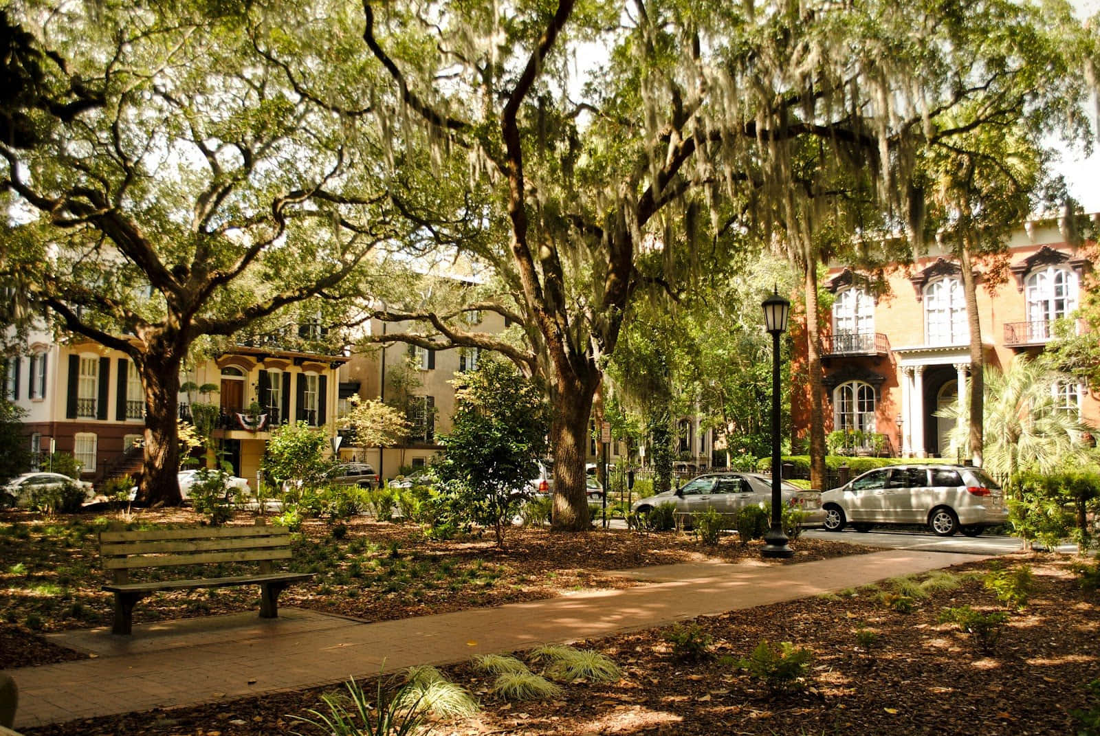 Savannah Background