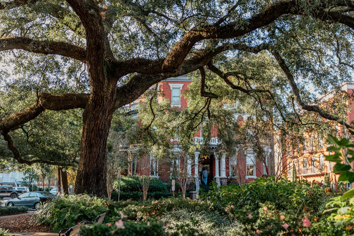 Savannah Photo to Inspire Your Next