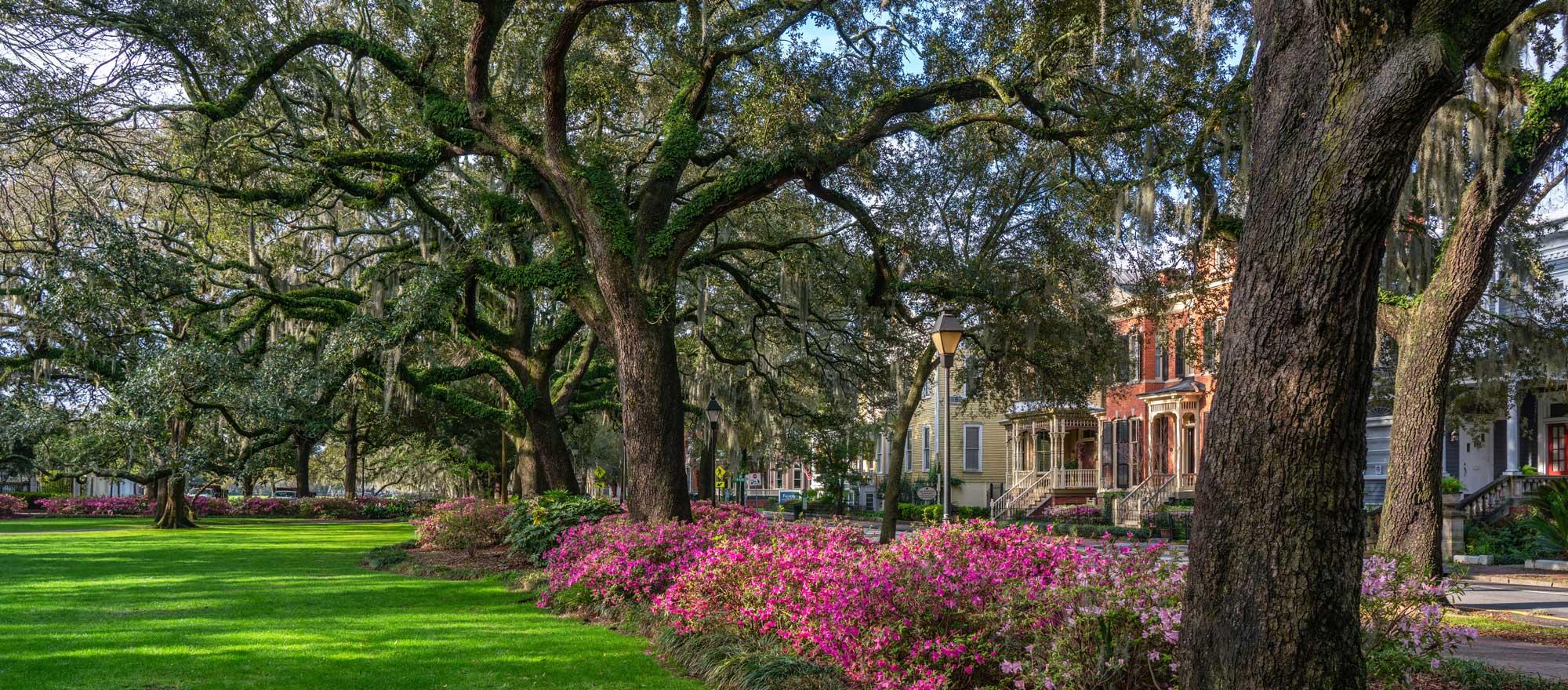 Tourist Attractions in Savannah, Georgia