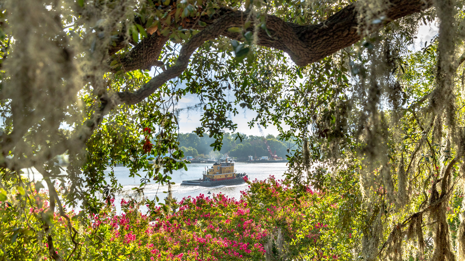 The Charm, and Challenge, of Savannah