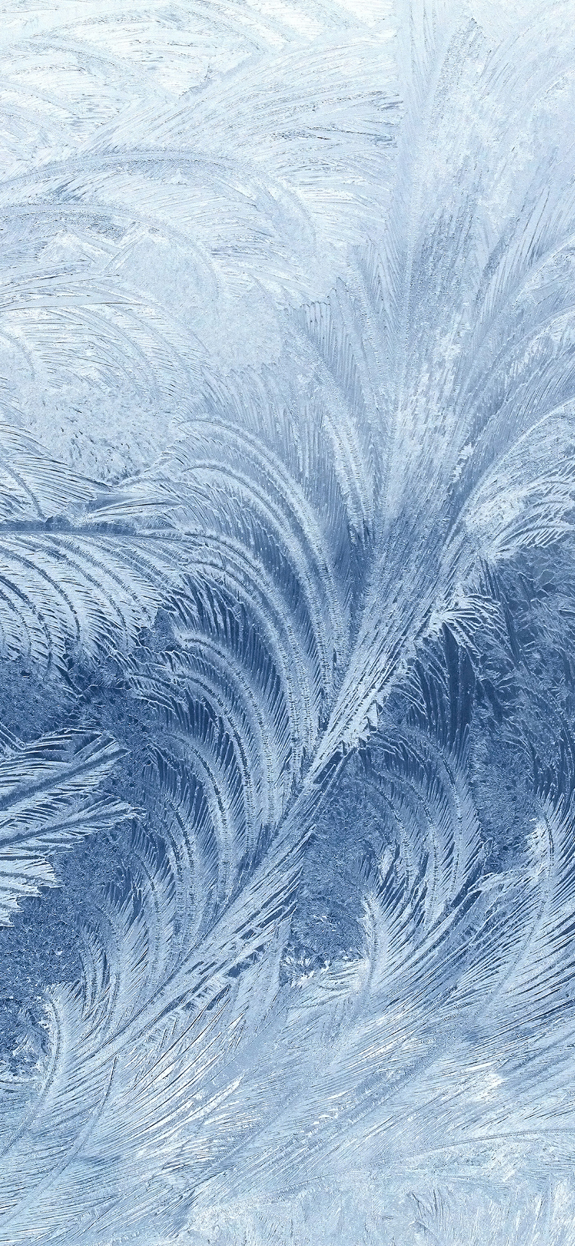 iPhoneXpapers snow window