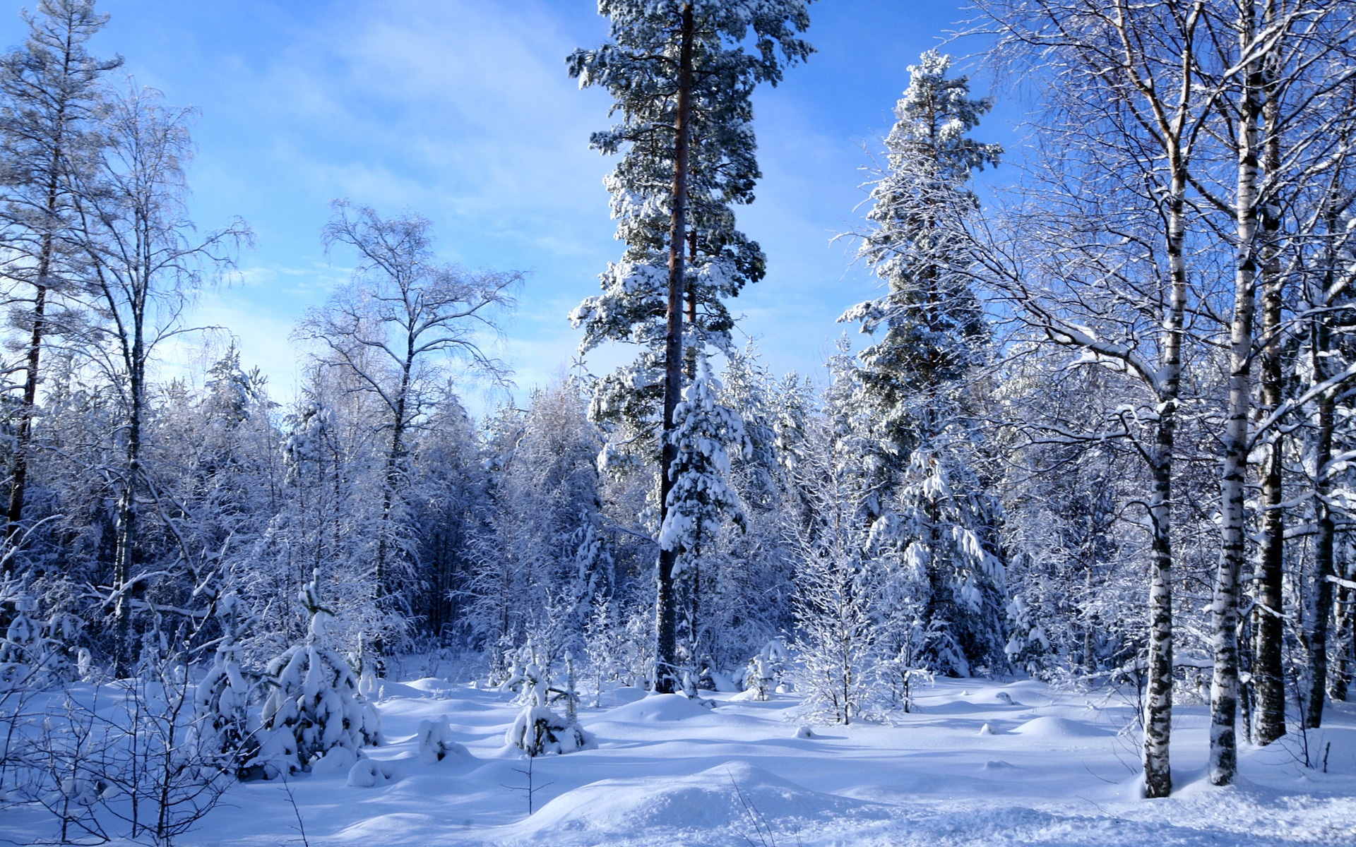 HD desktop wallpaper: Winter, Snow