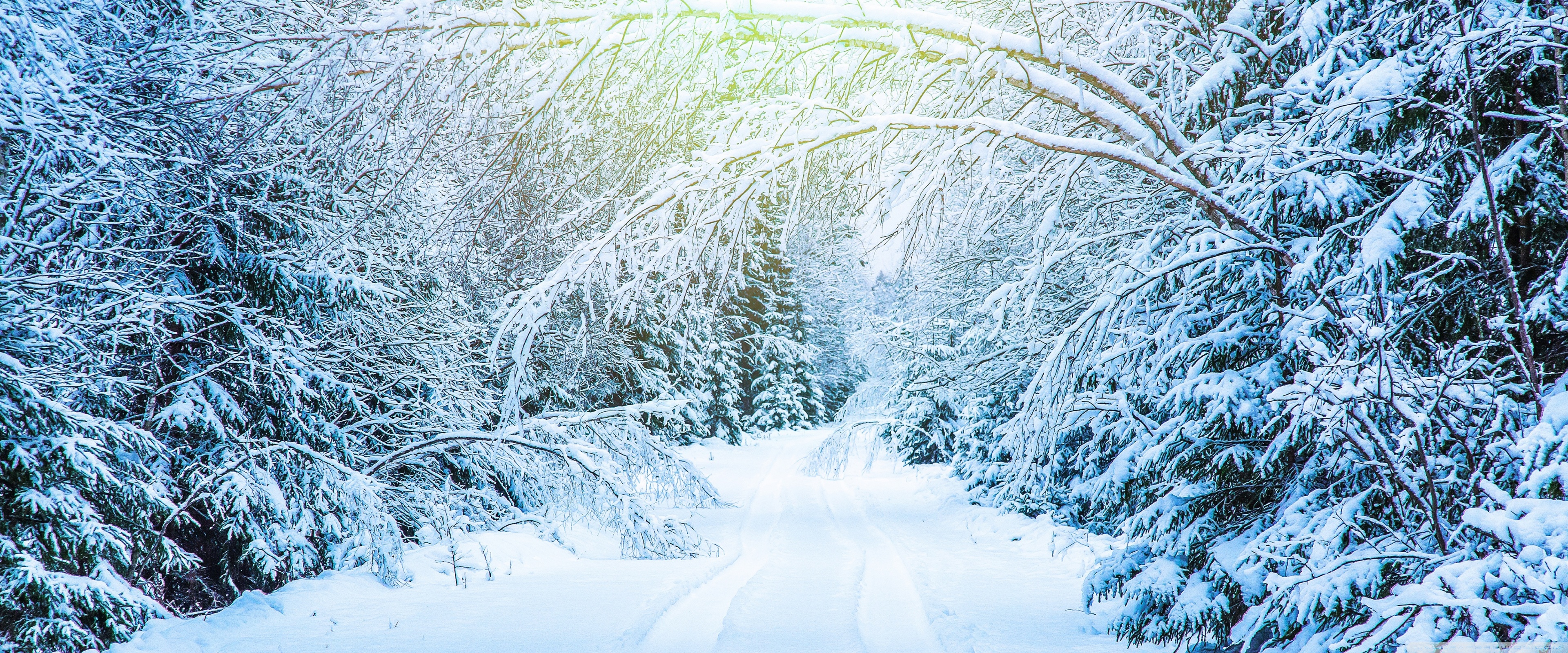 Snowy Winter Road Ultra HD Desktop