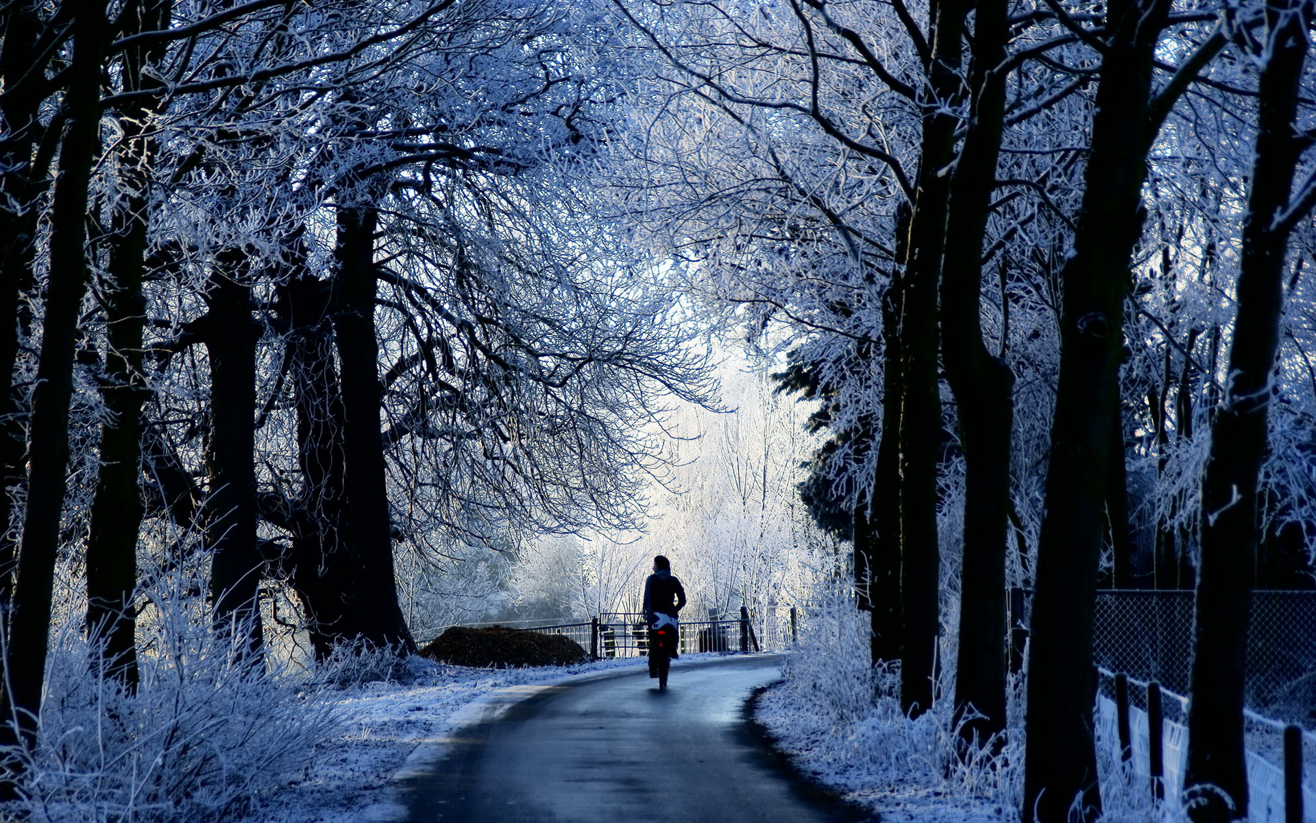 winter road scene