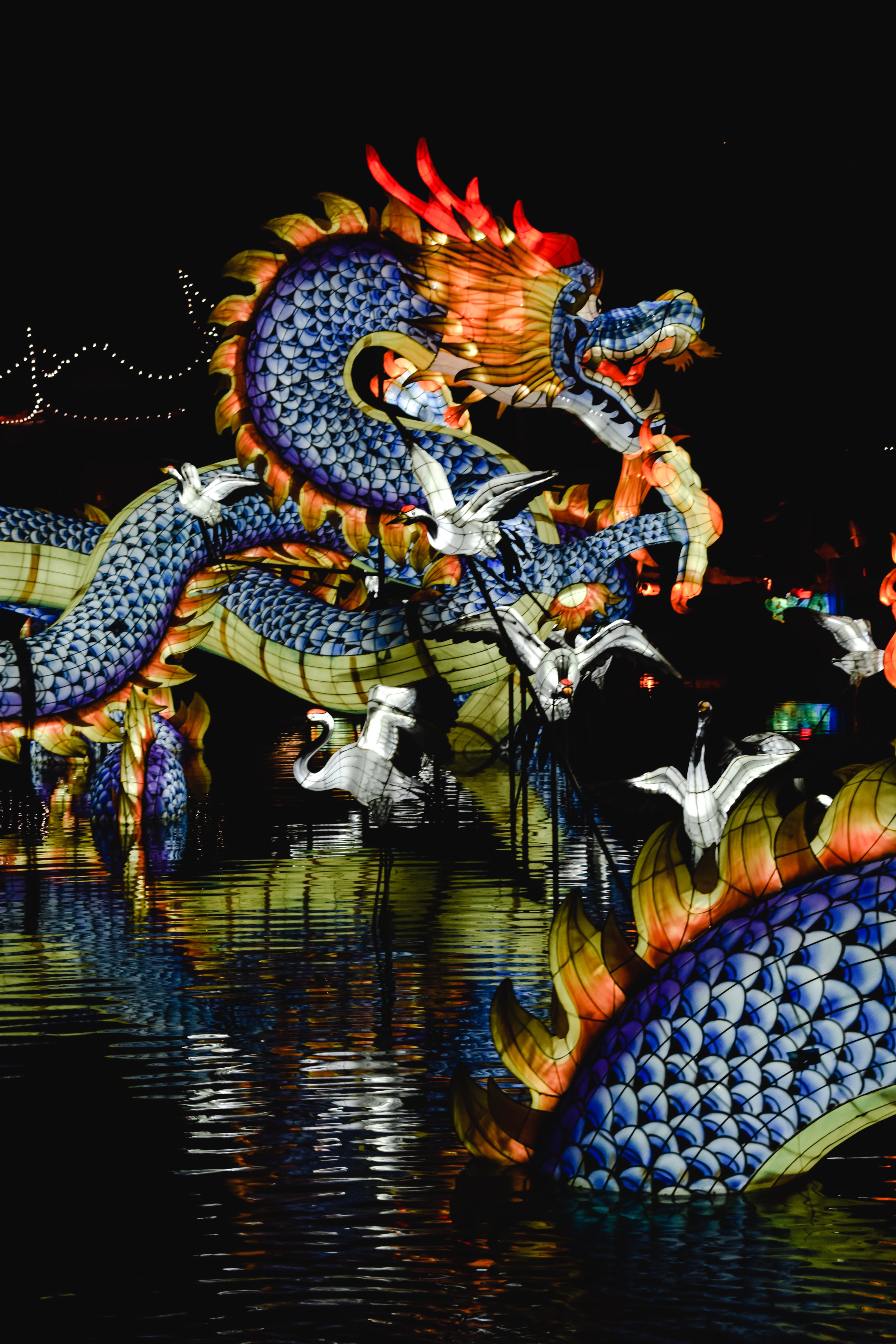 Chinese Dragon Photo, Download