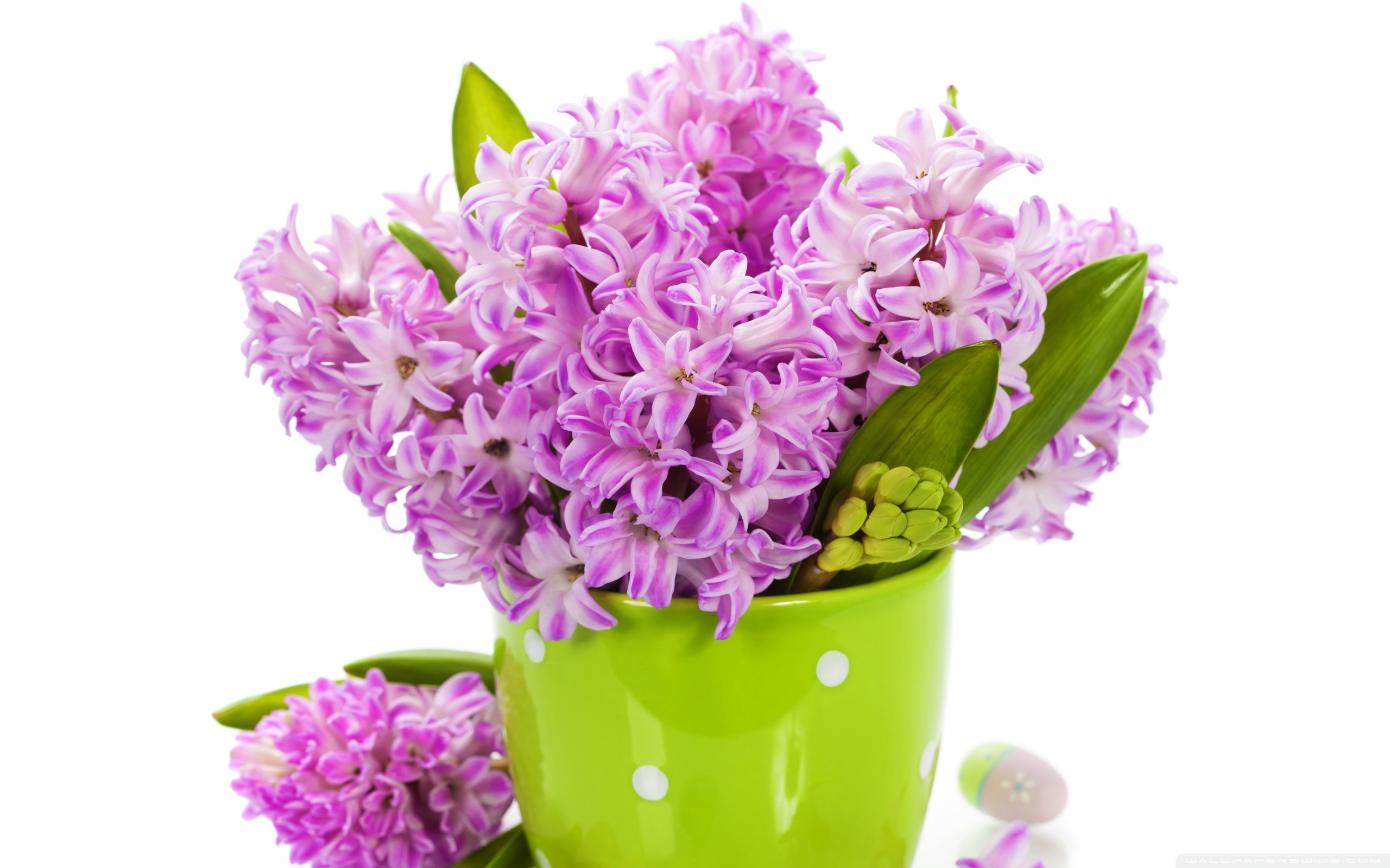 Happy Easter 2022 Ultra HD Desktop