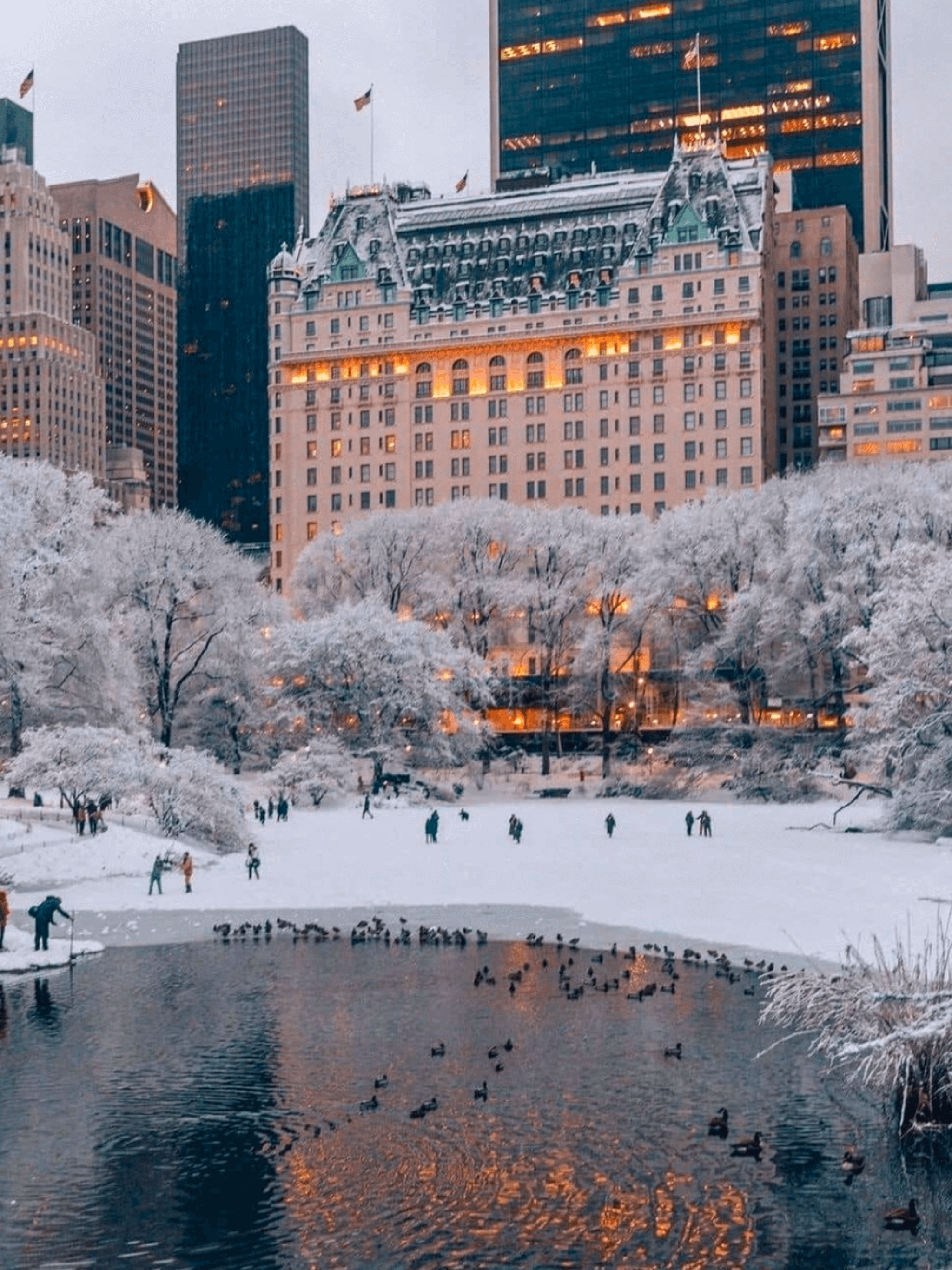 FREE Winter Aesthetic Wallpaper