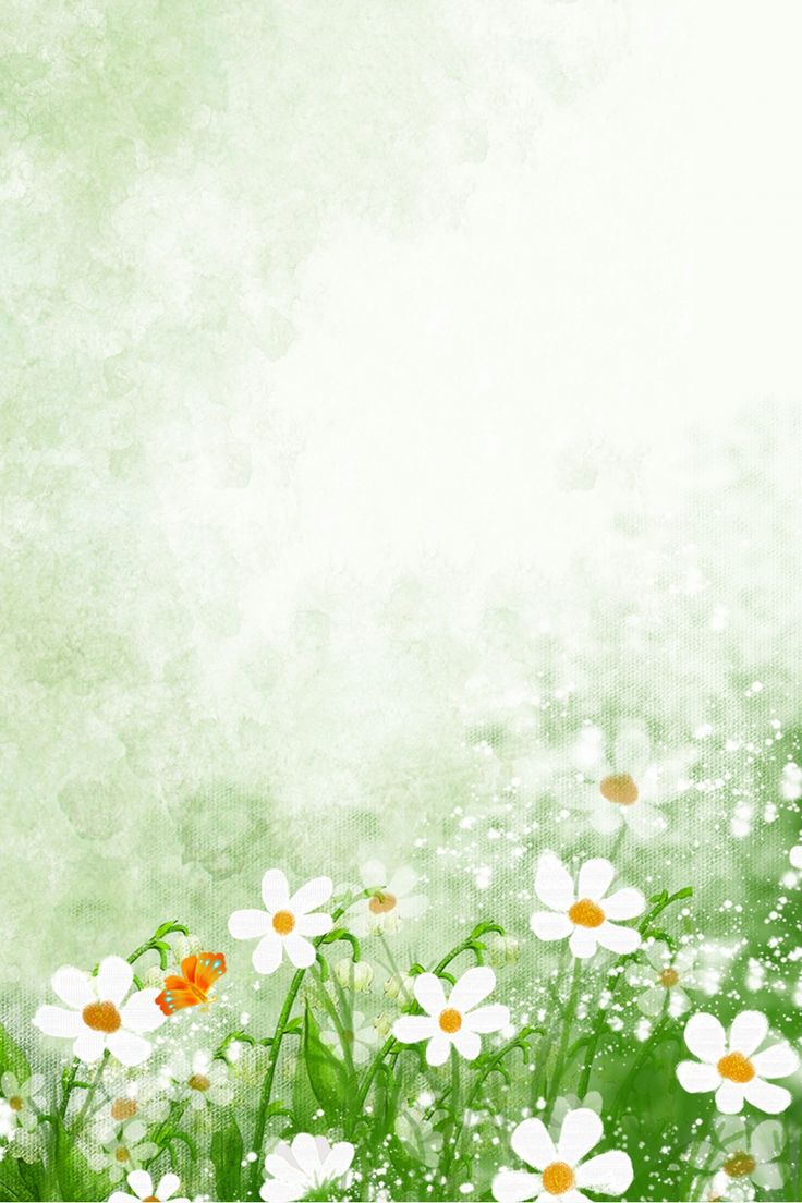Flower background wallpaper